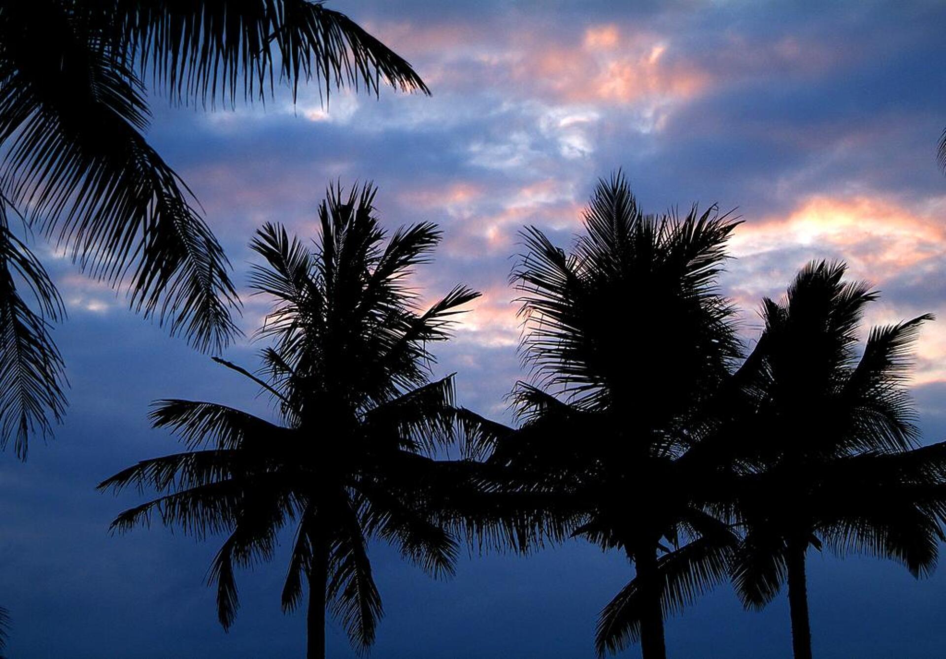 Pinewood Beach Resort & Spa 0