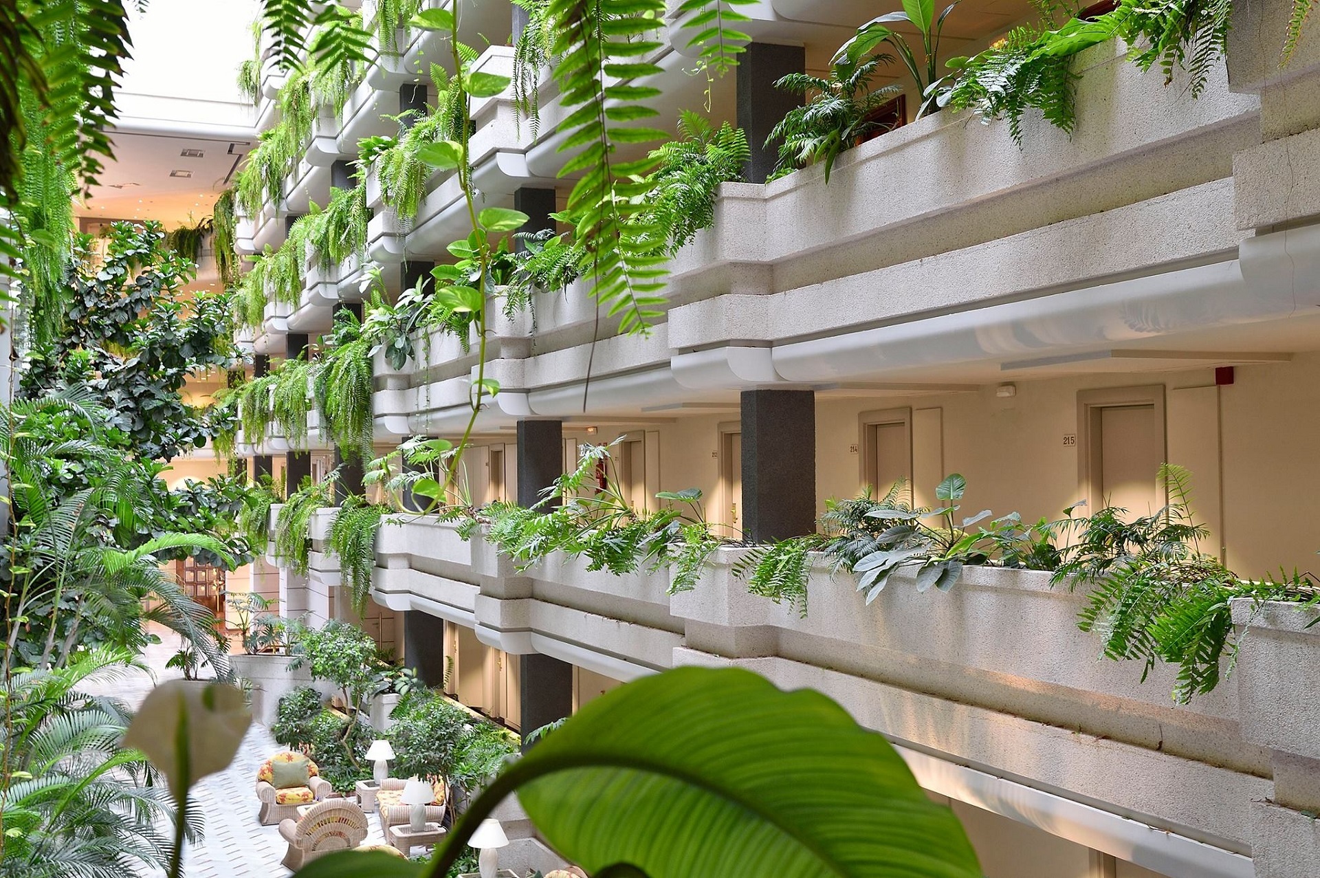 Sensimar Arona Gran Hotel & Spa 4* 3