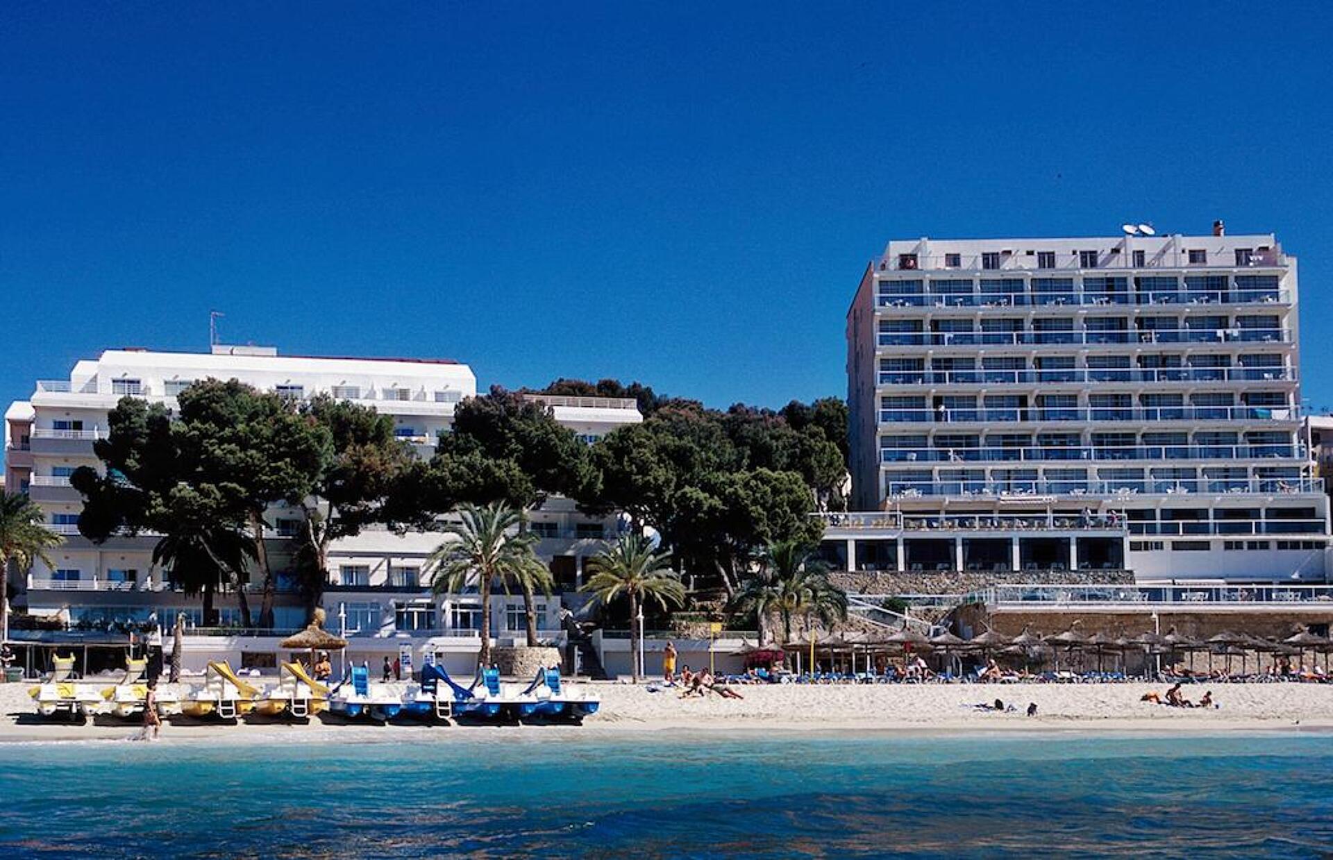 Flamboyan Caribe 13