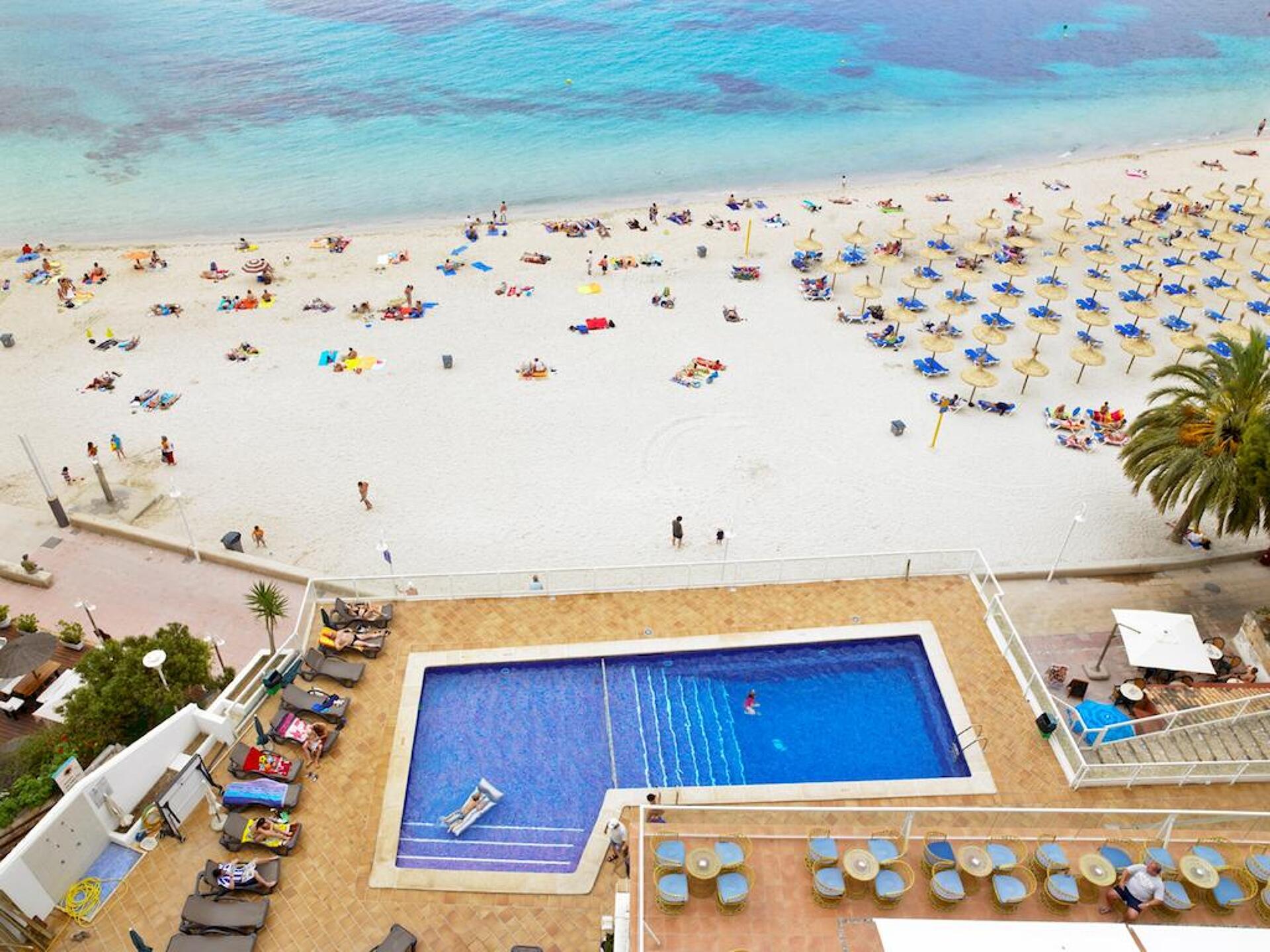 Flamboyan Caribe 8
