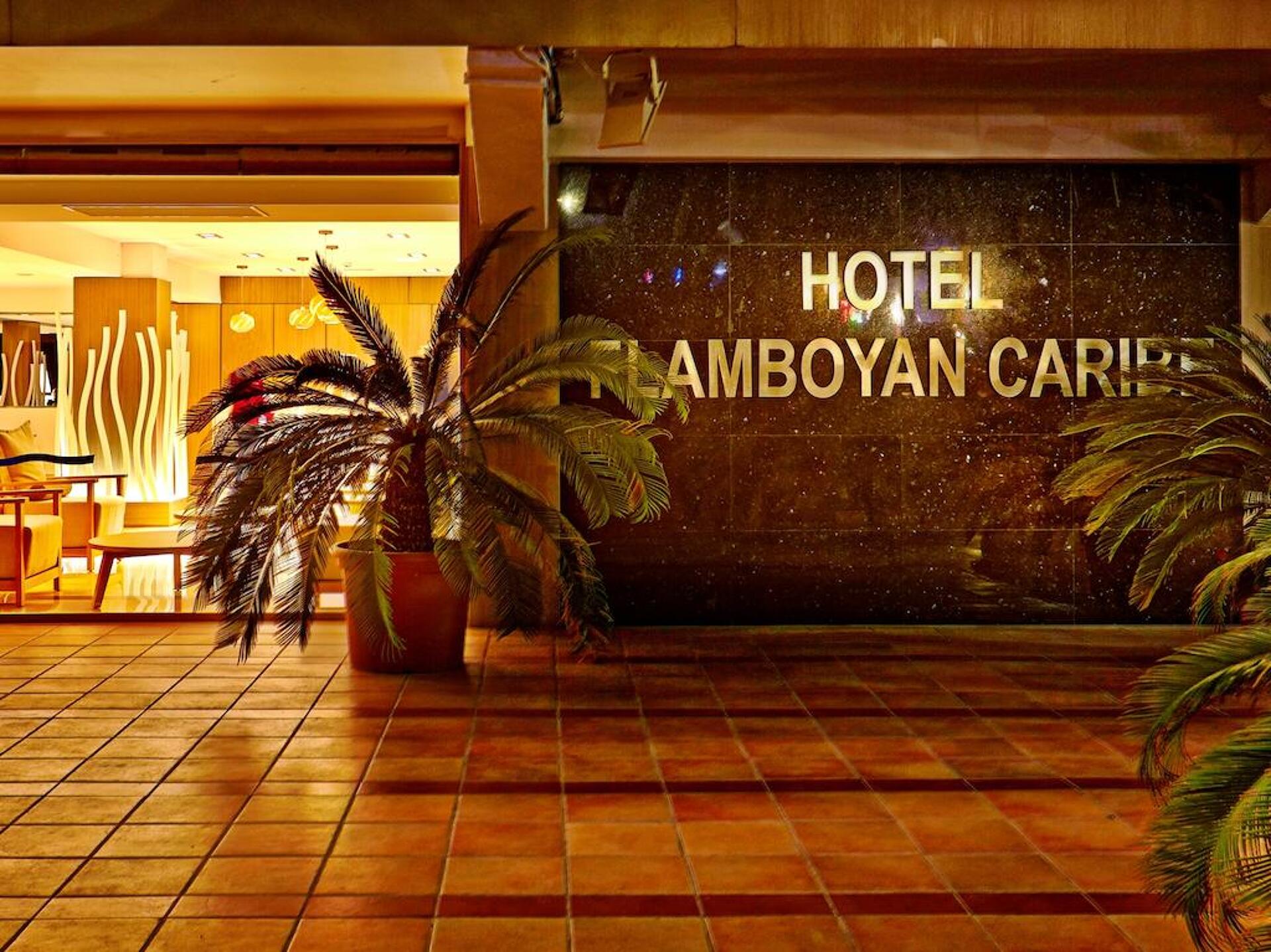 Flamboyan Caribe 24