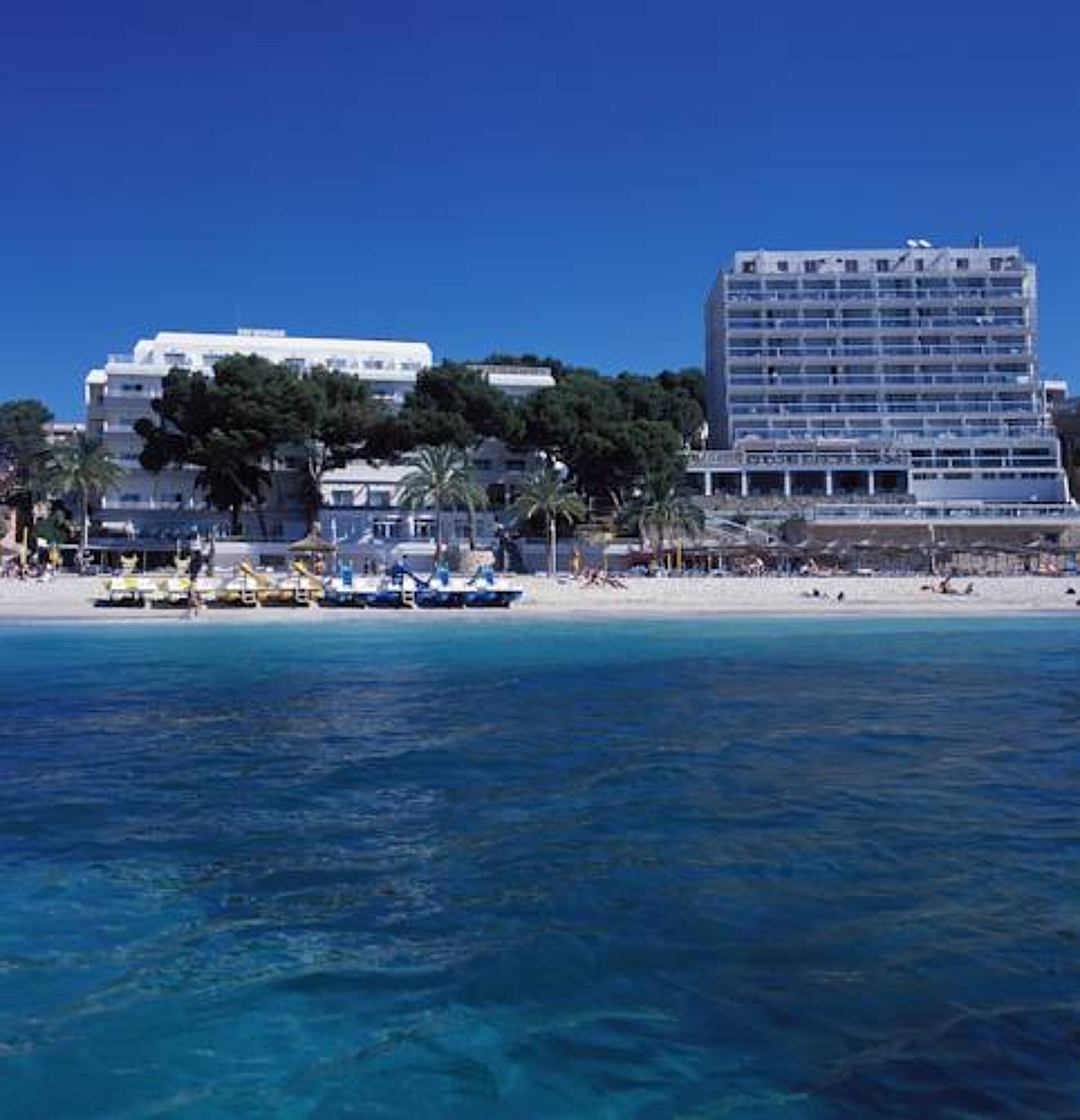 Flamboyan Caribe 0