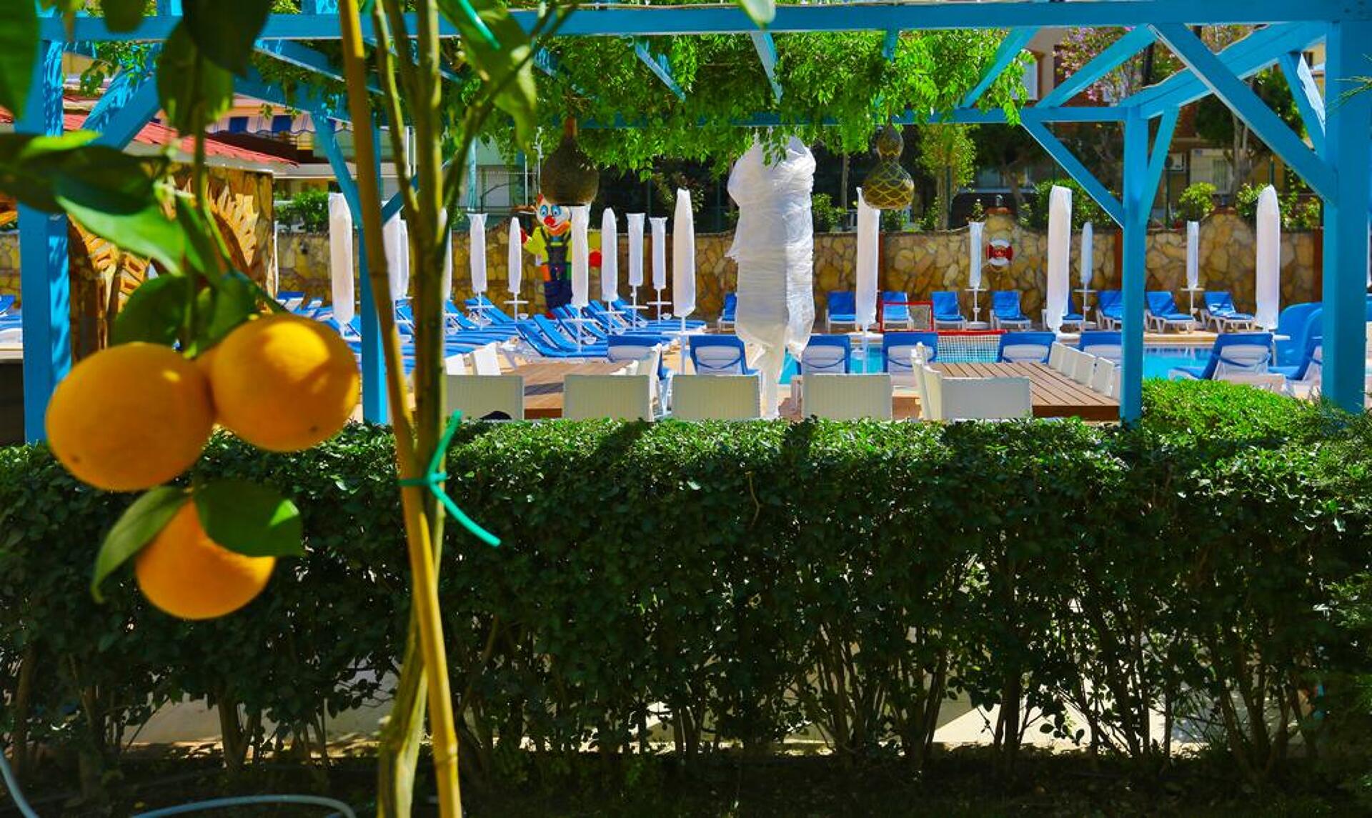 Club Big Blue Suite Hotel 18
