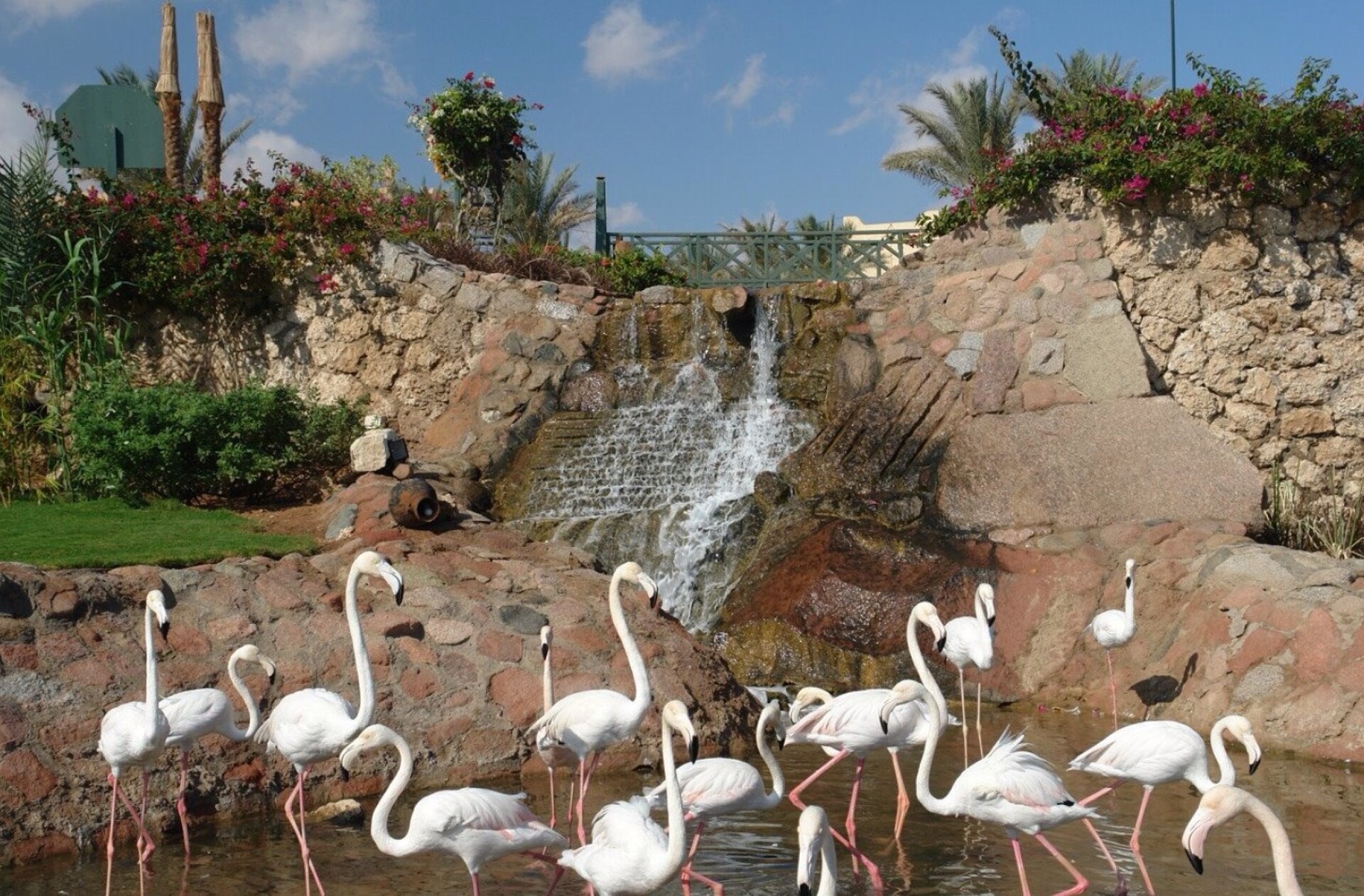 Hauza Beach Resort 4* 2