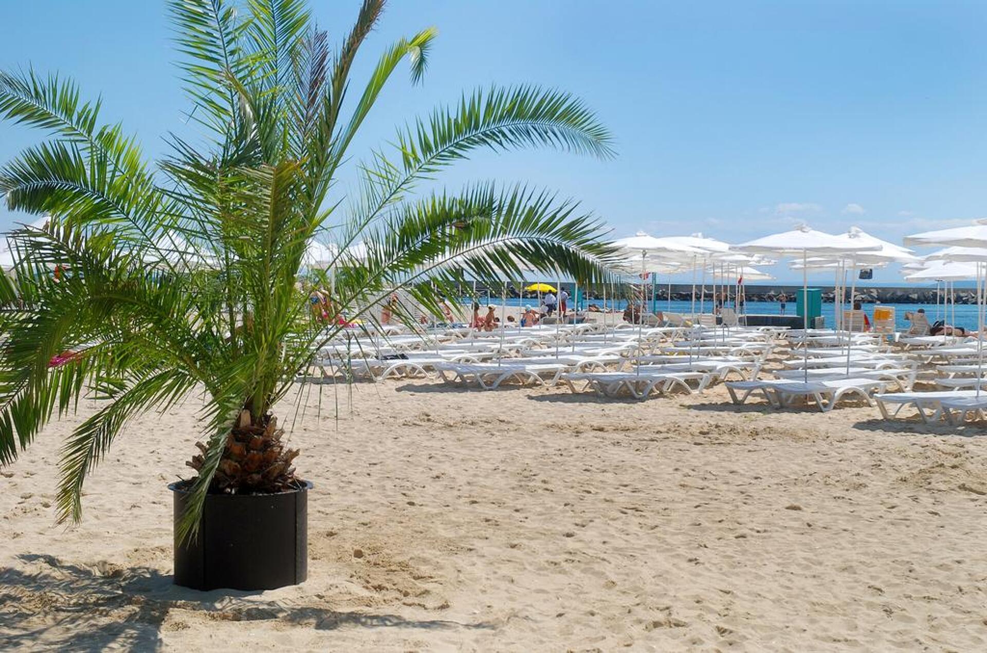 Lebed Hotel 4* 5