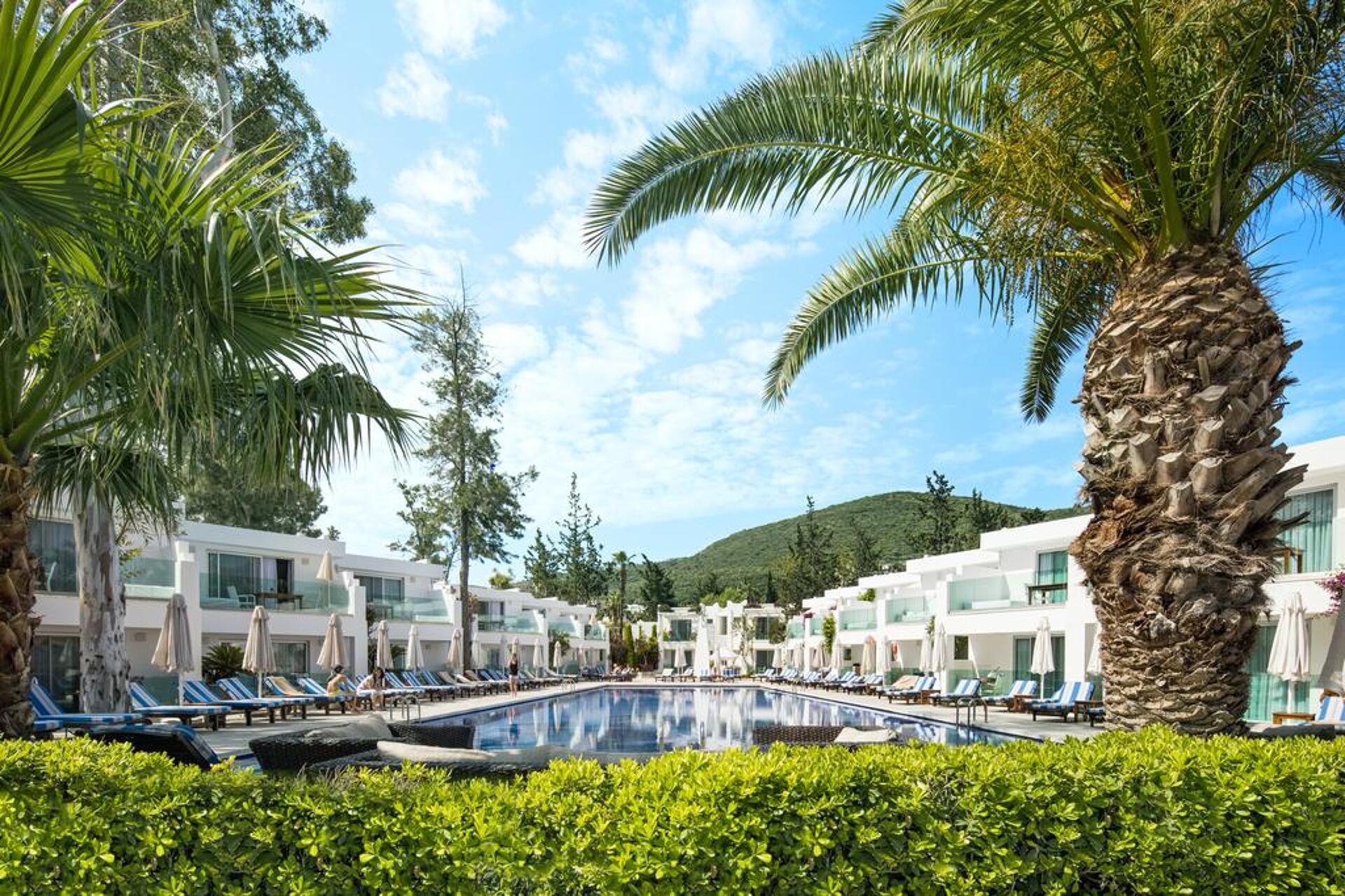 Voyage Torba 5* 28