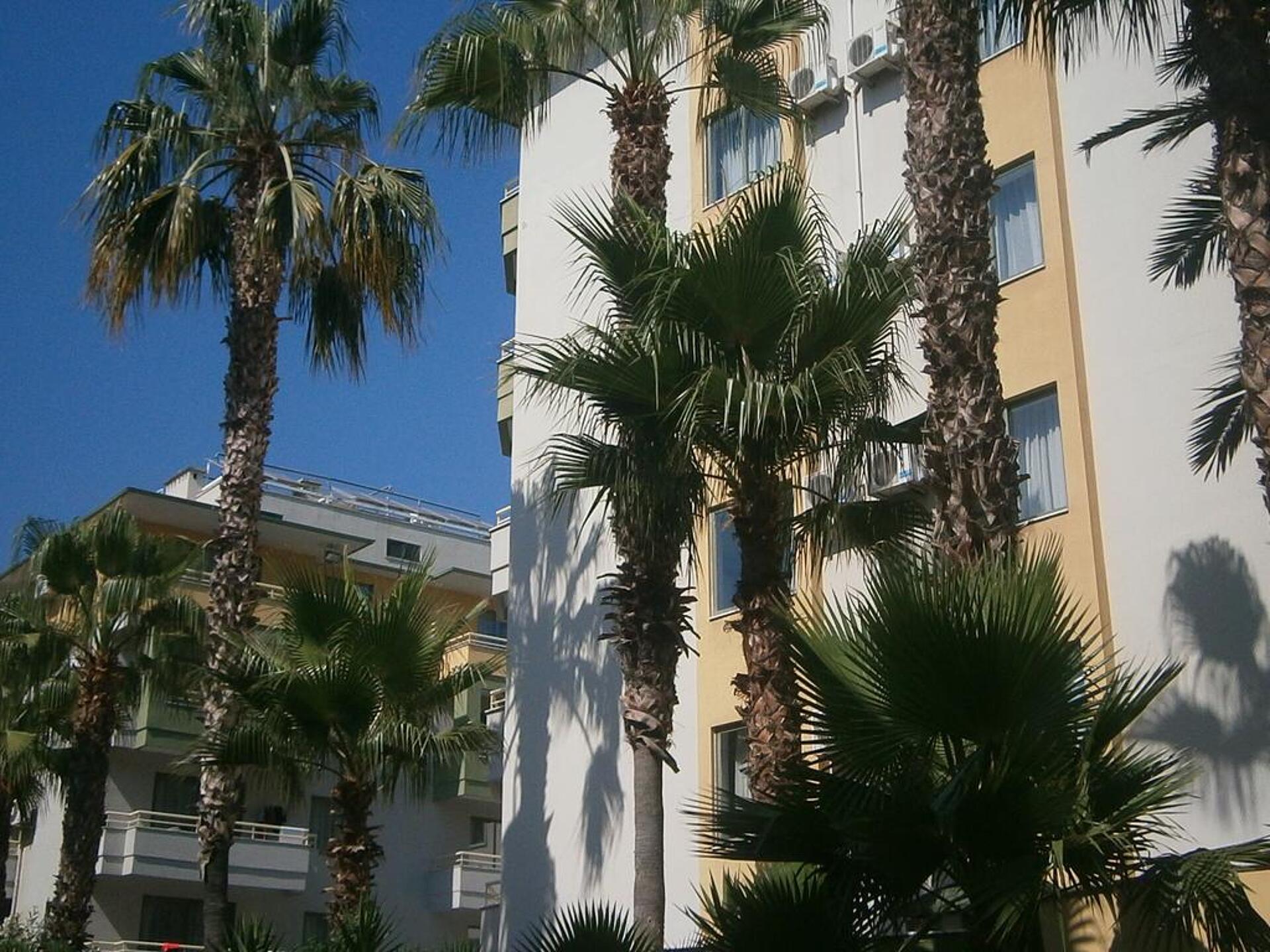 Sifalar Apart Hotel 4* 17