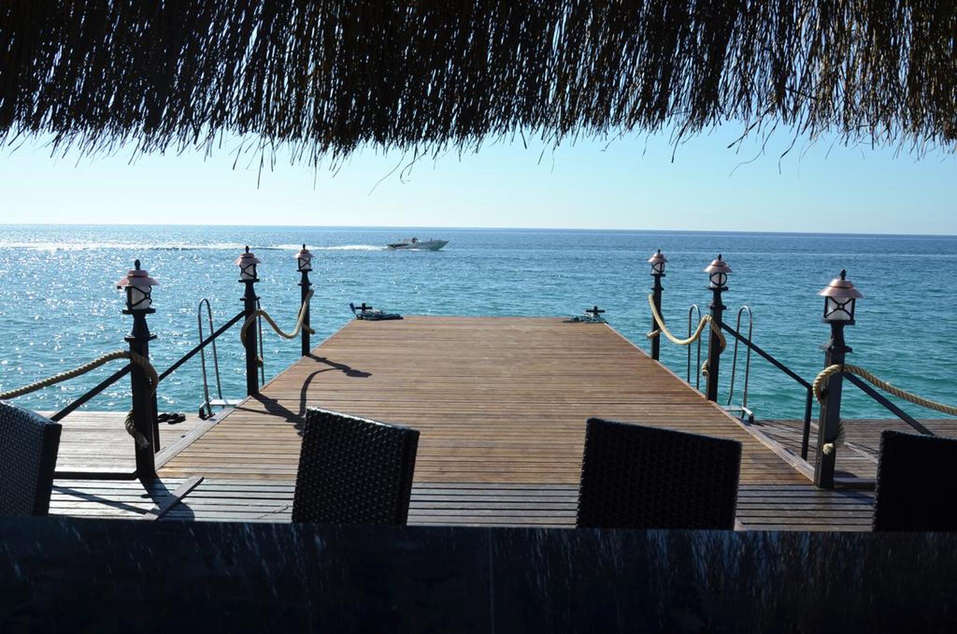 Emelda Sun Club 6