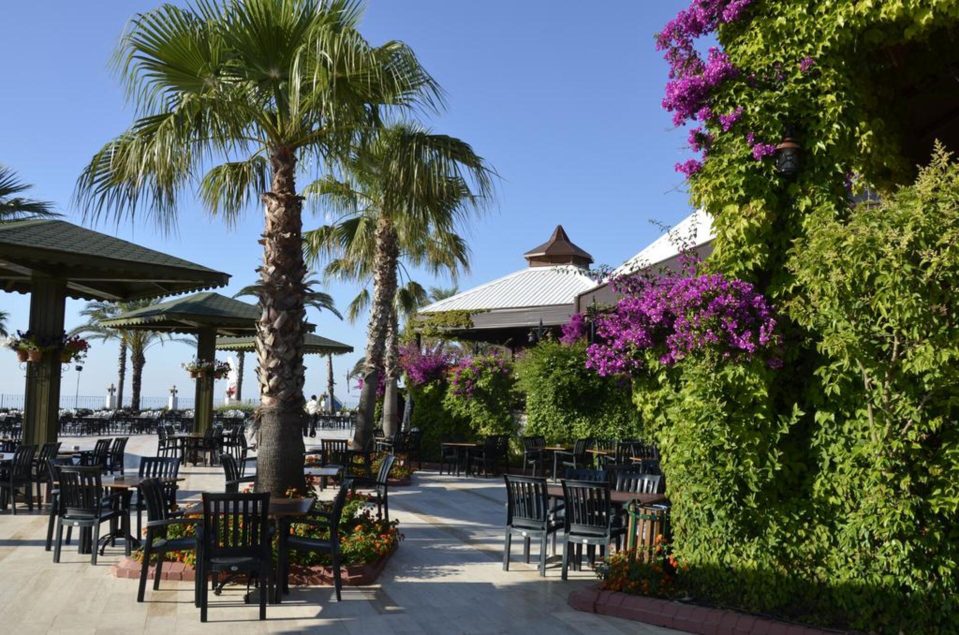 Emelda Sun Club 28