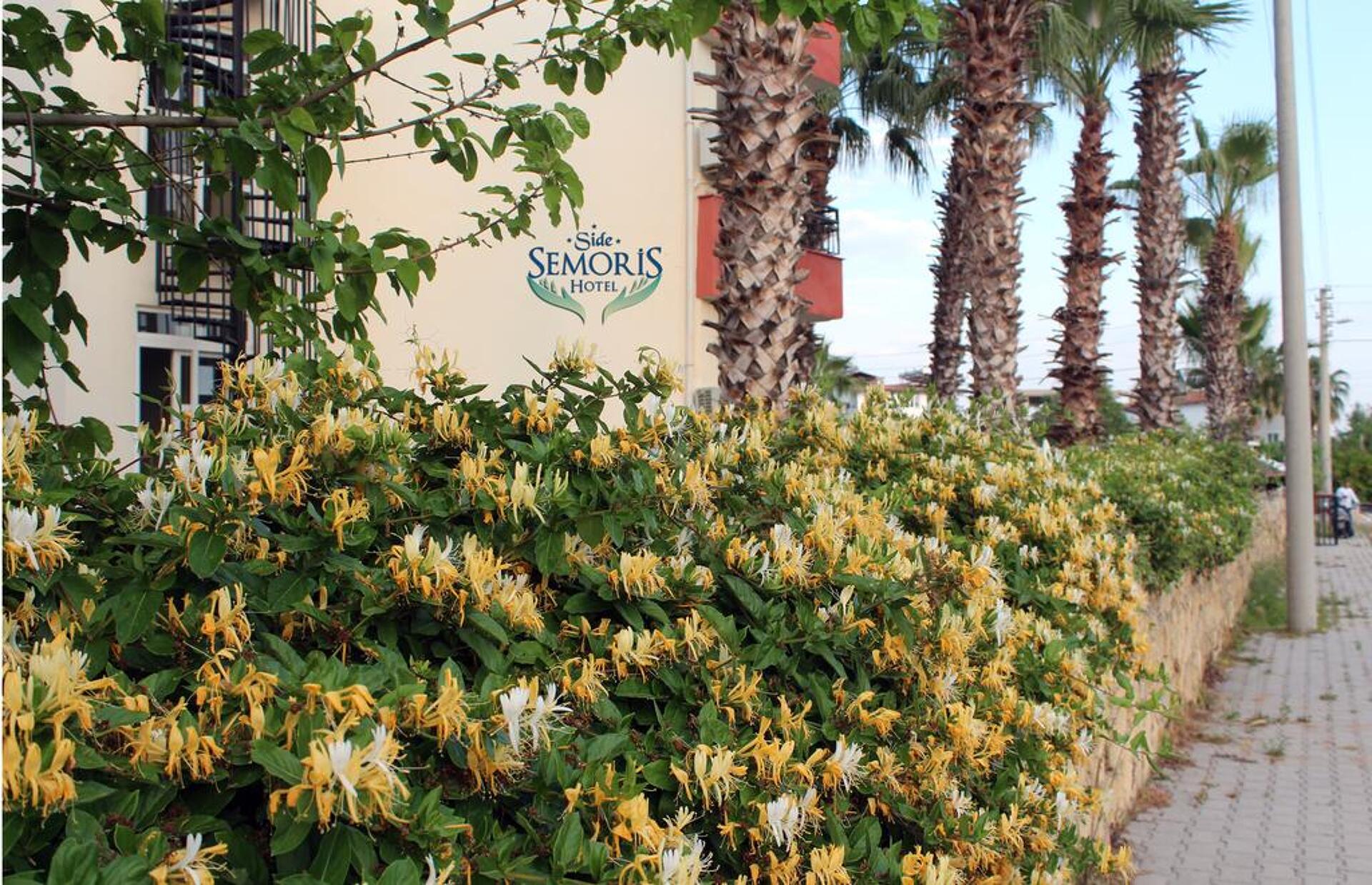 Semoris Hotel 3* 23