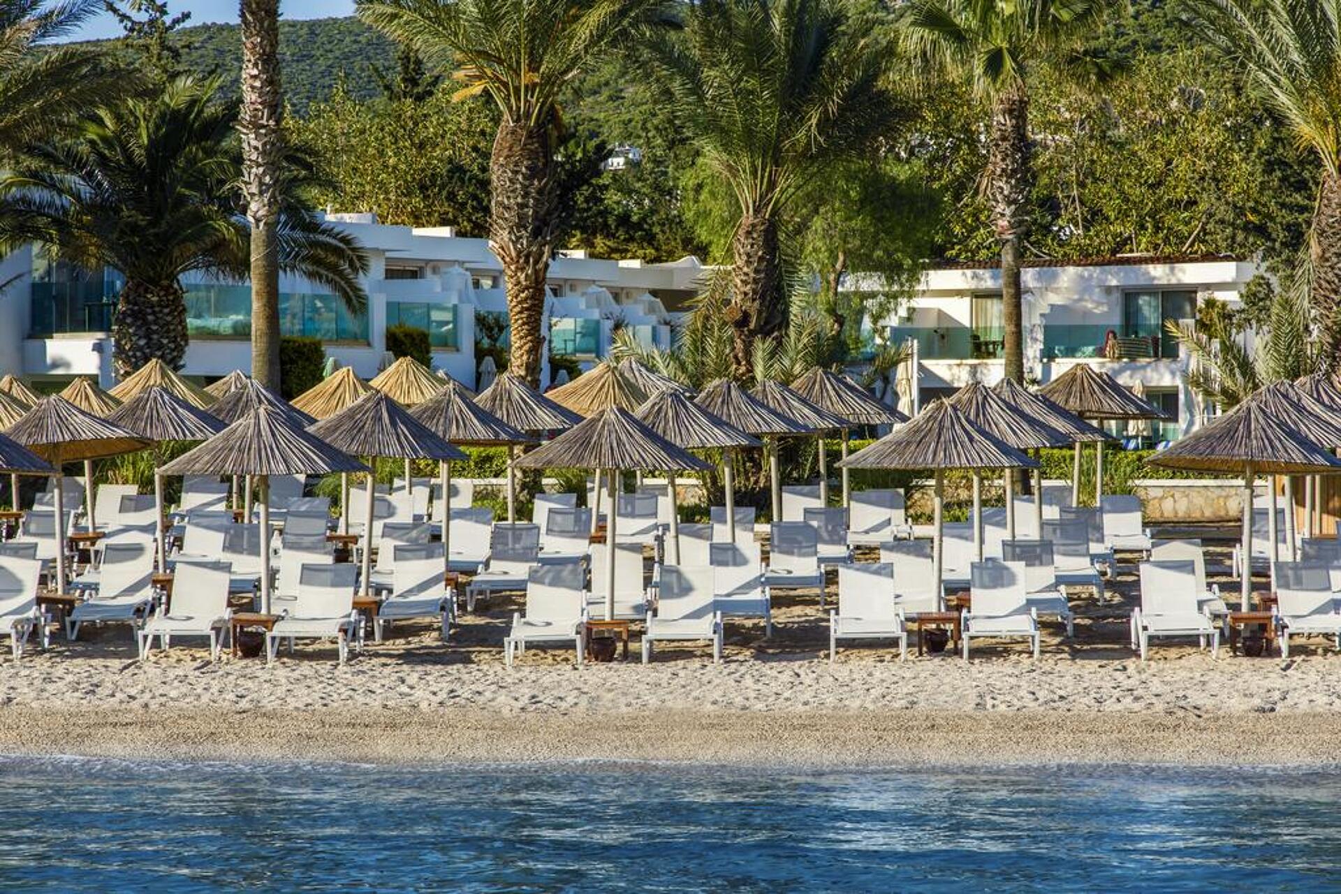 Voyage Torba 5* 30