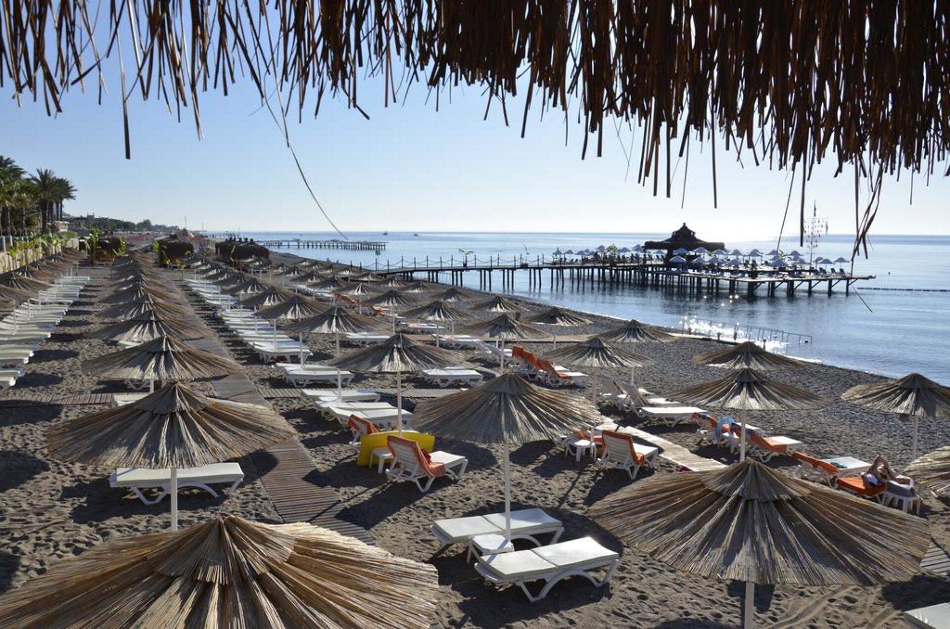 Emelda Sun Club 5
