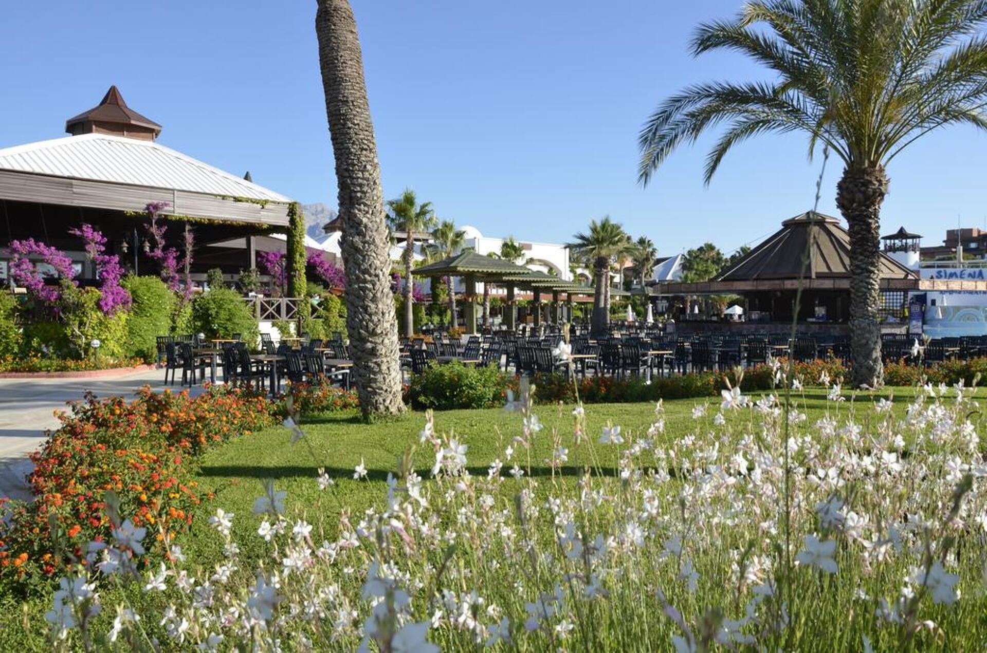 Emelda Sun Club 29