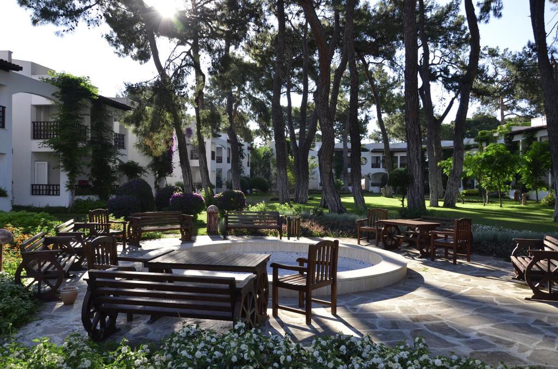 Emelda Sun Club 4