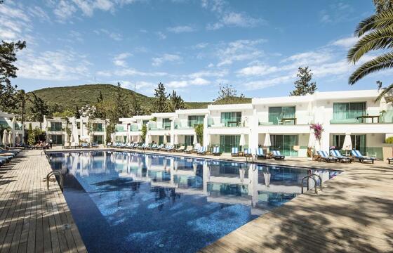Voyage Torba