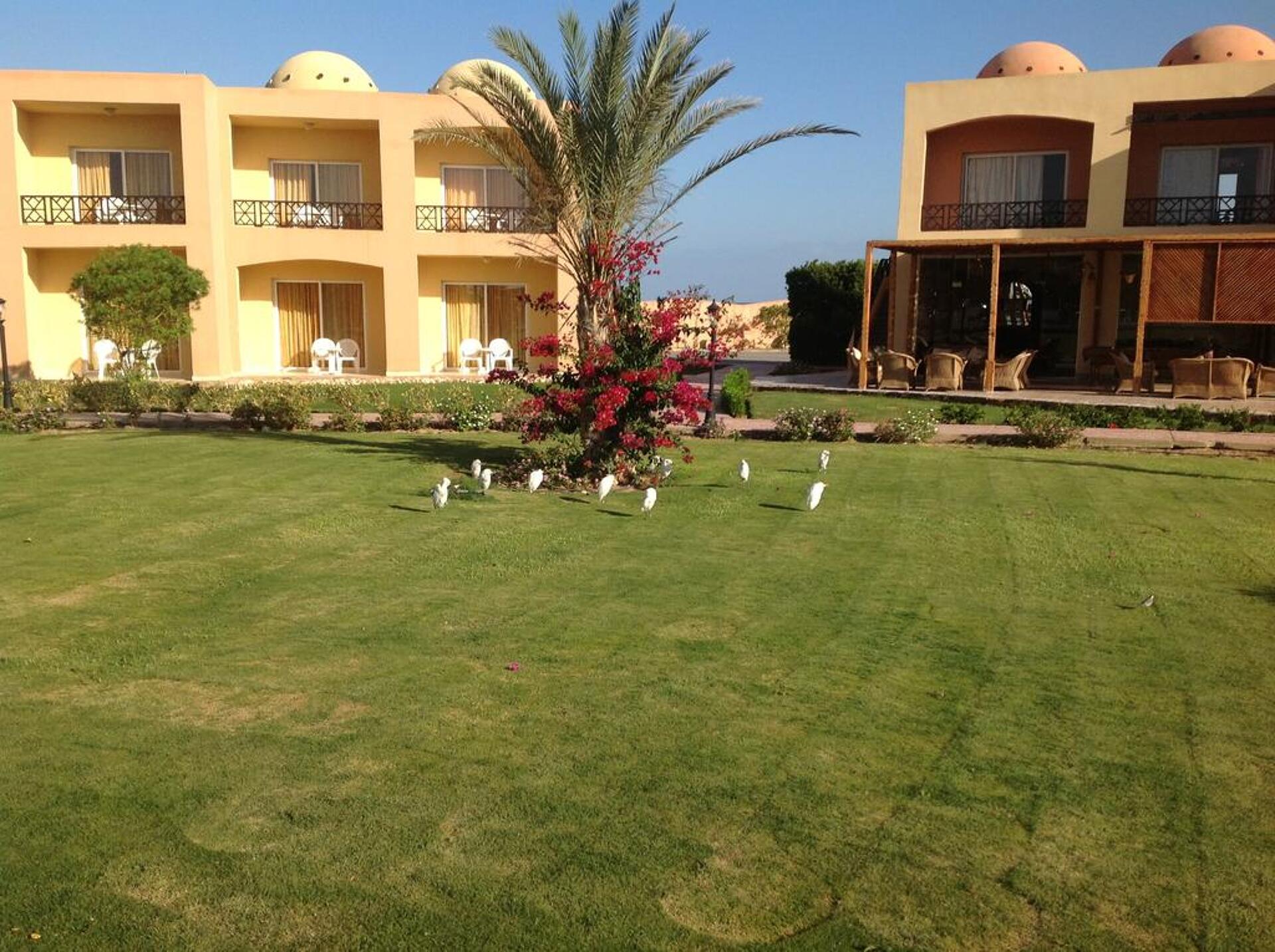 Wadi Lahmy Azur Resort 4* 28