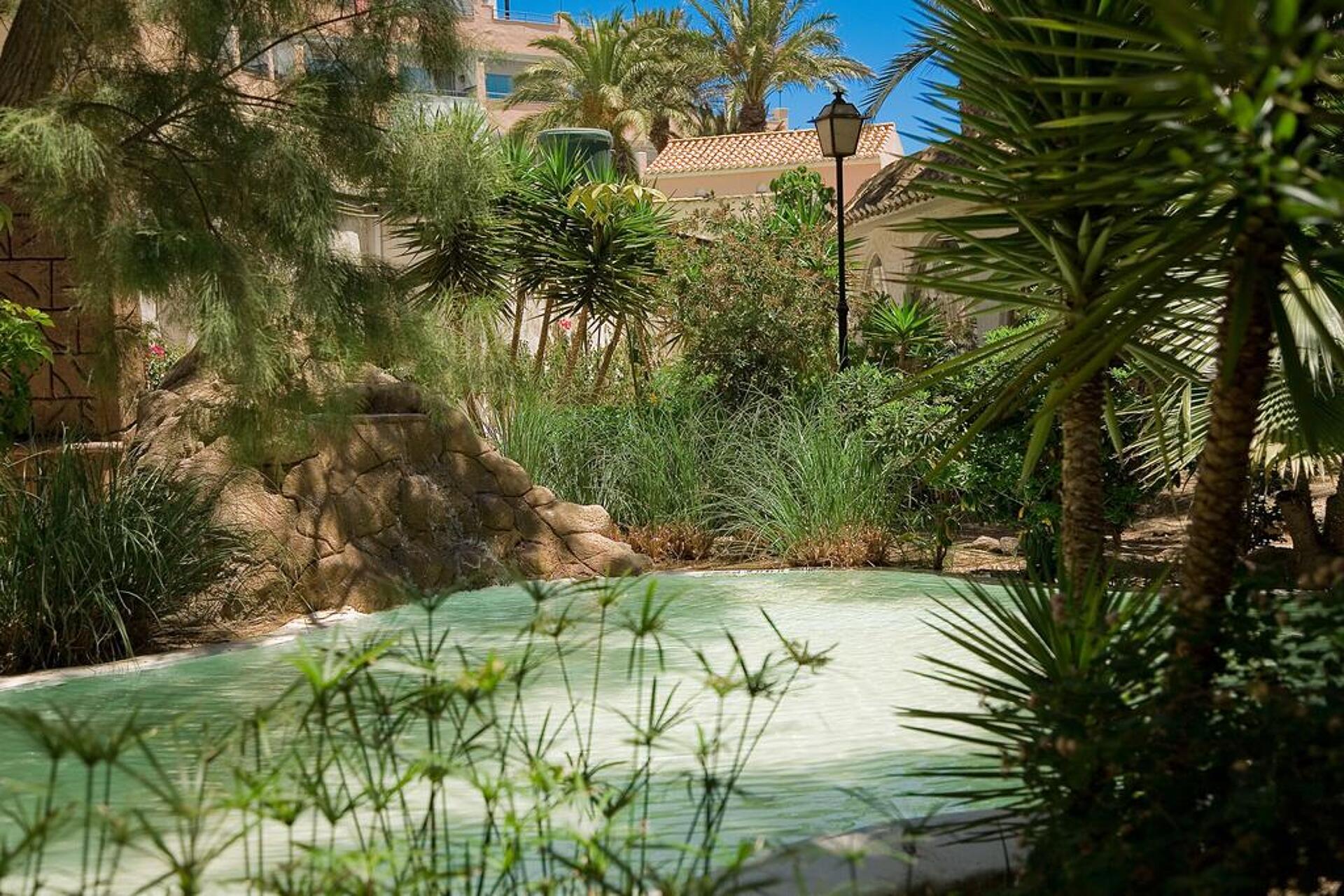 Playasol Spa Hotel 4* 13