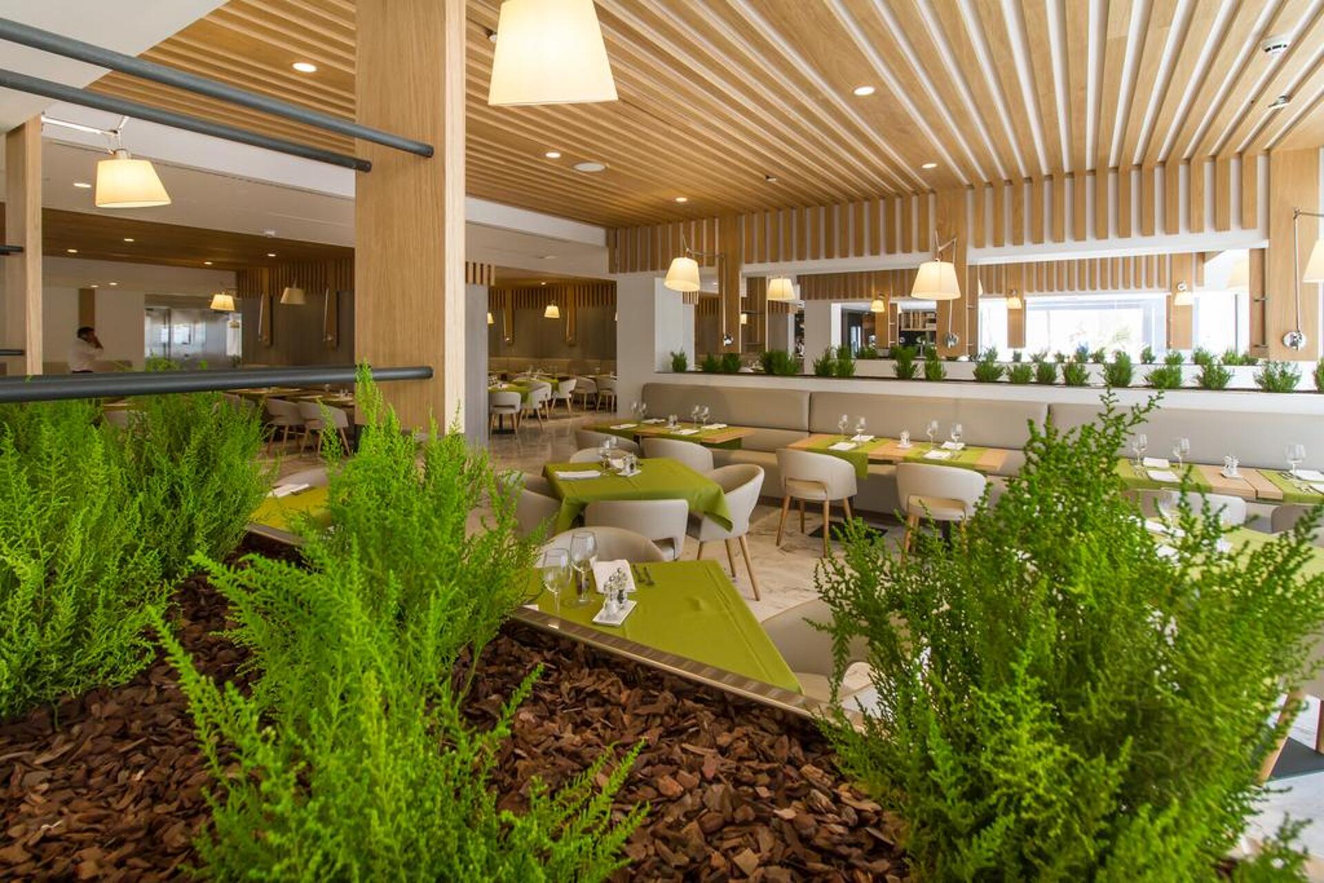 Suitopia Sol Y Mar Suites 4* 18