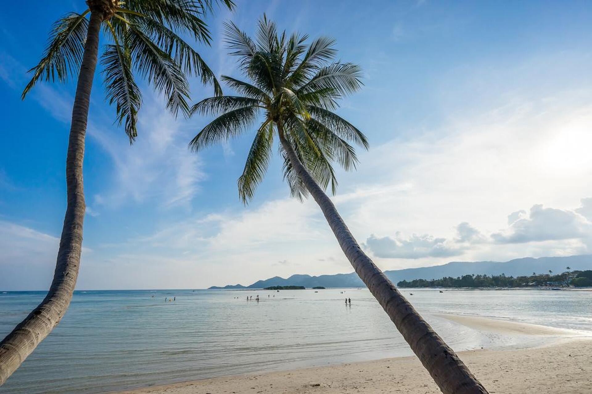 Chaba Cabana Beach Resort 4* 29