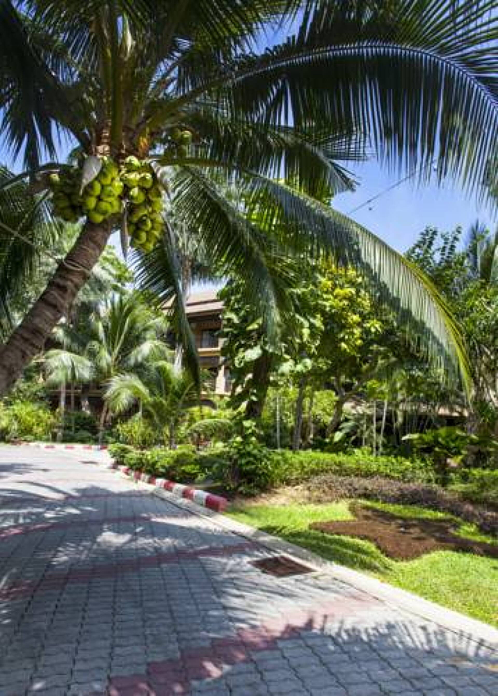 The Fair House Beach Resort & Hotel 3* 38