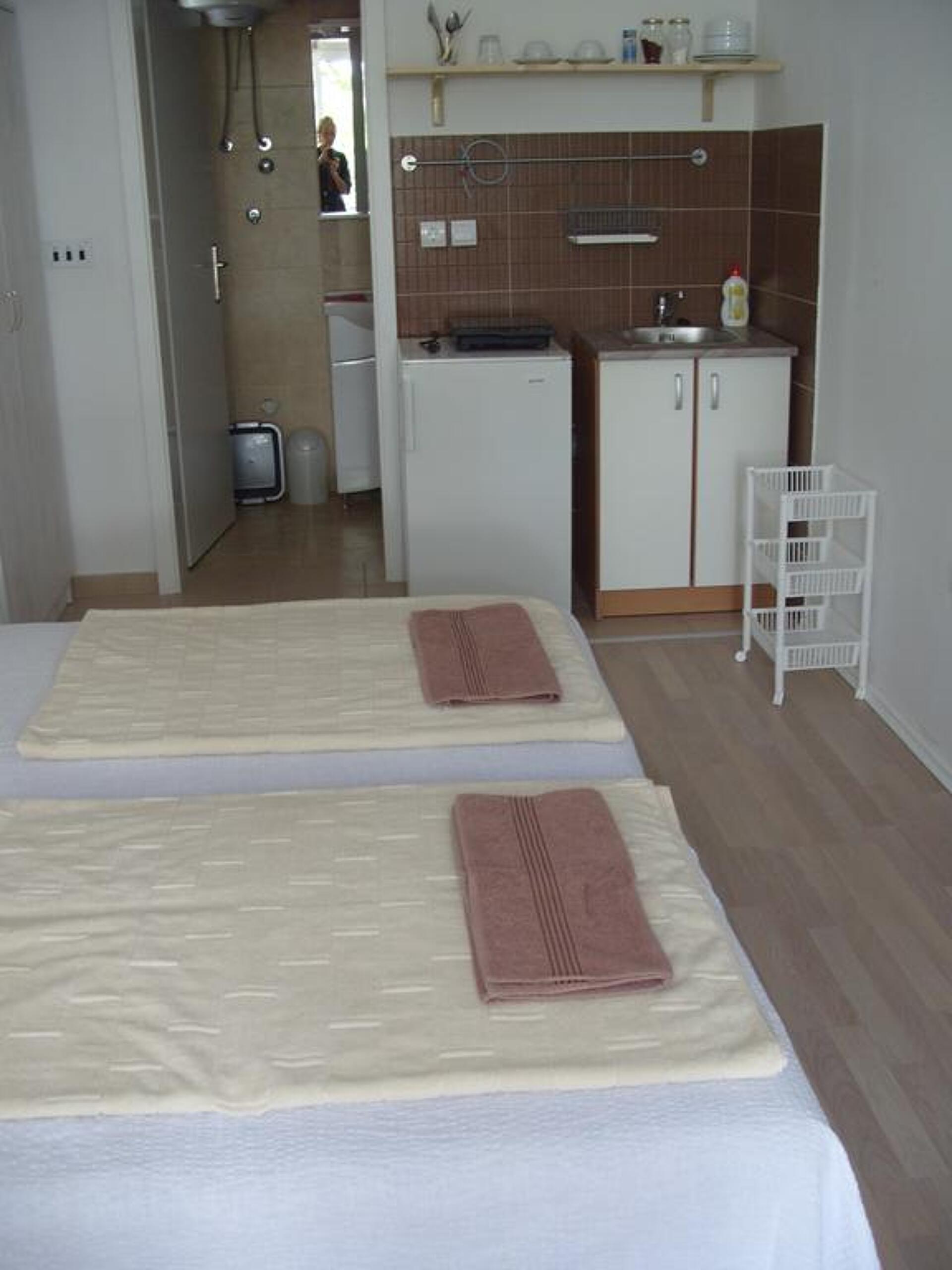 Apartments Villa Ivanovic 3* 13