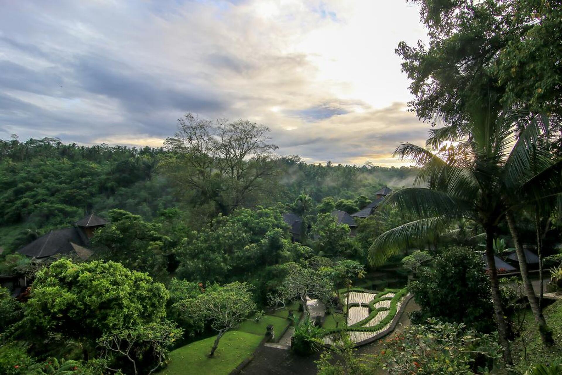 The Payogan Villa Resort & Spa 5* 8