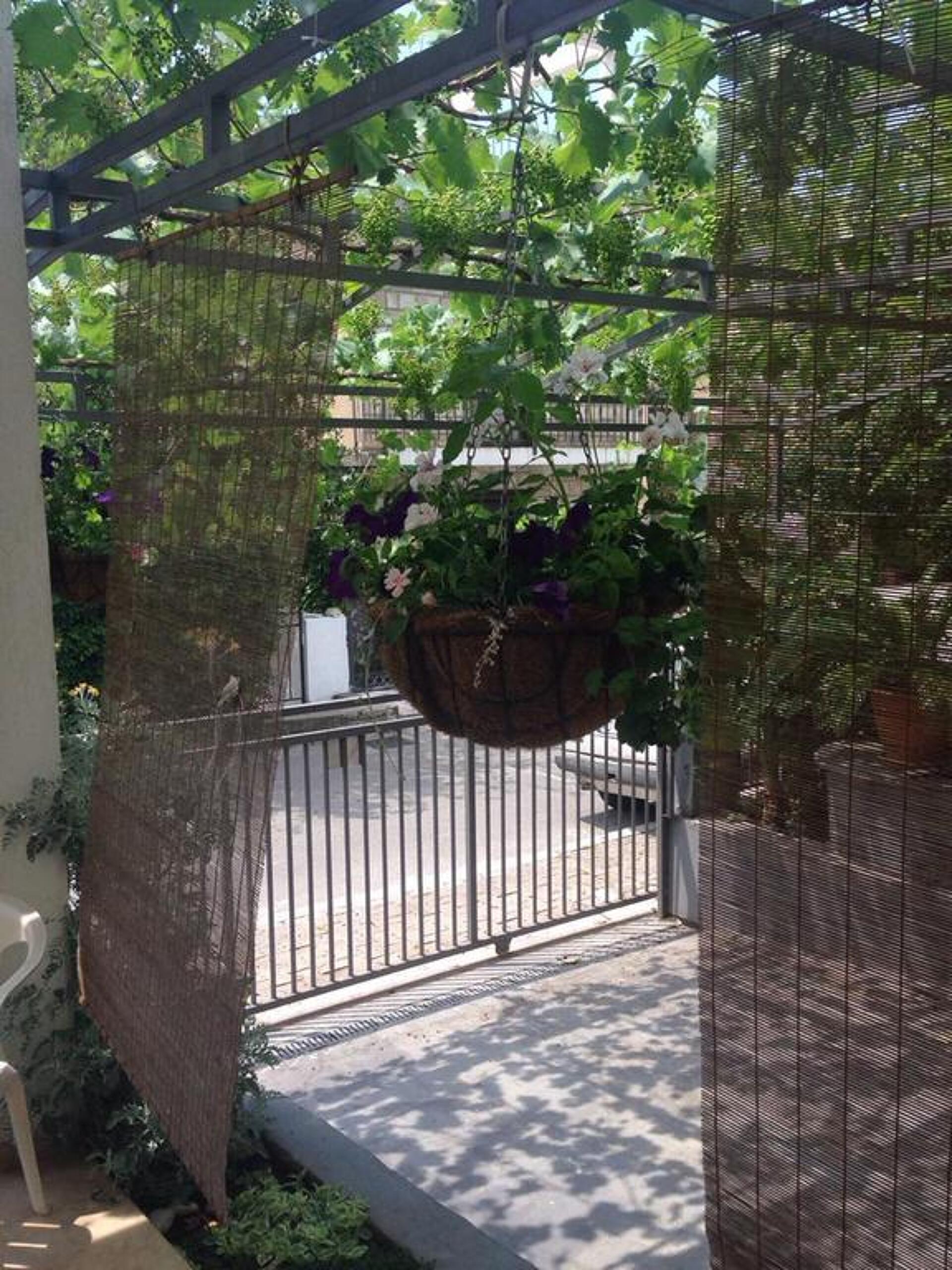 Apartments Villa Ivanovic 3* 5