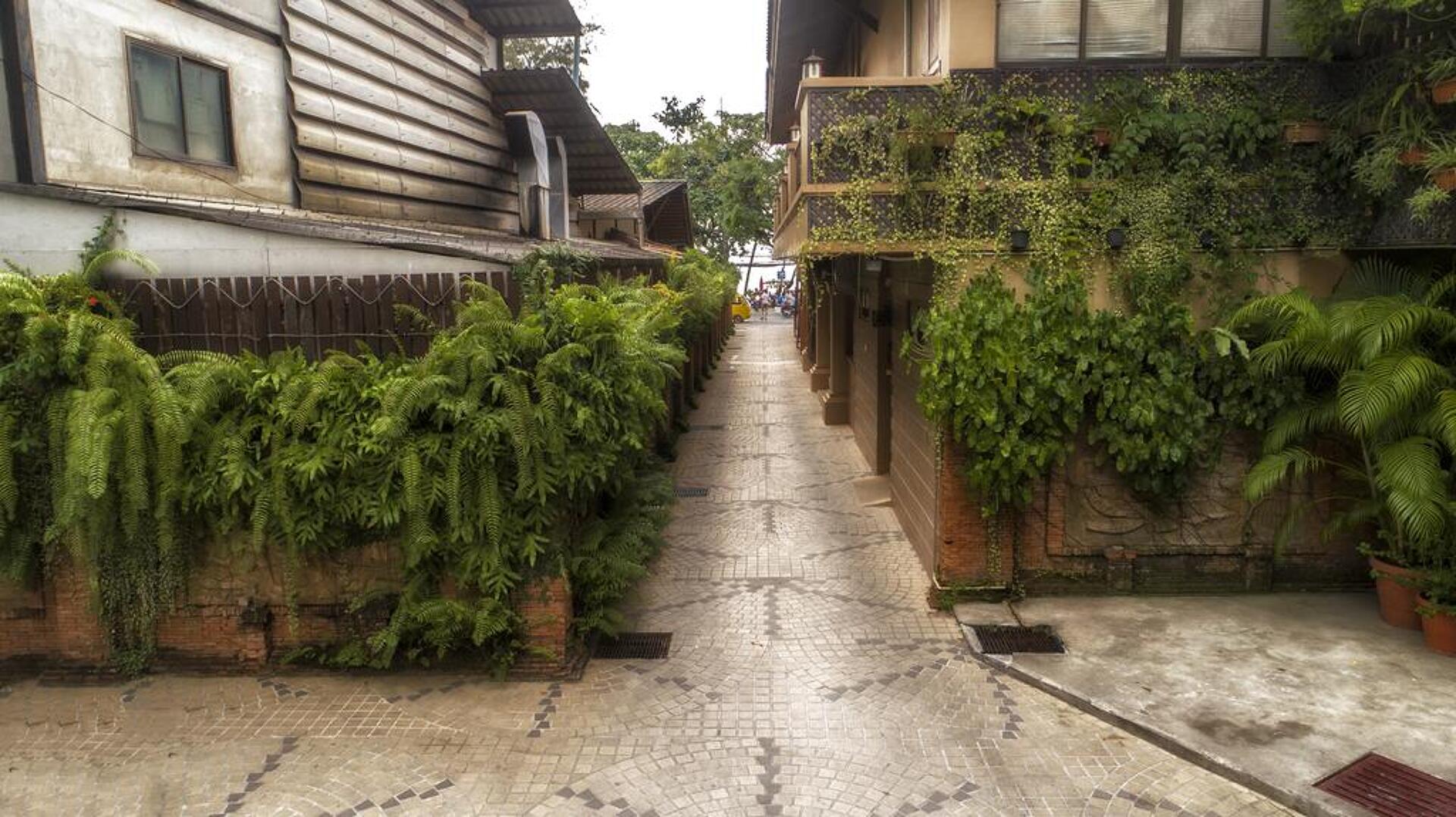 Tropica Bungalow 3* 36