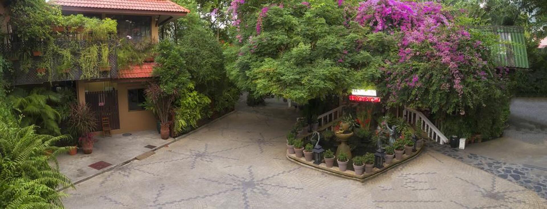 Tropica Bungalow 3* 38