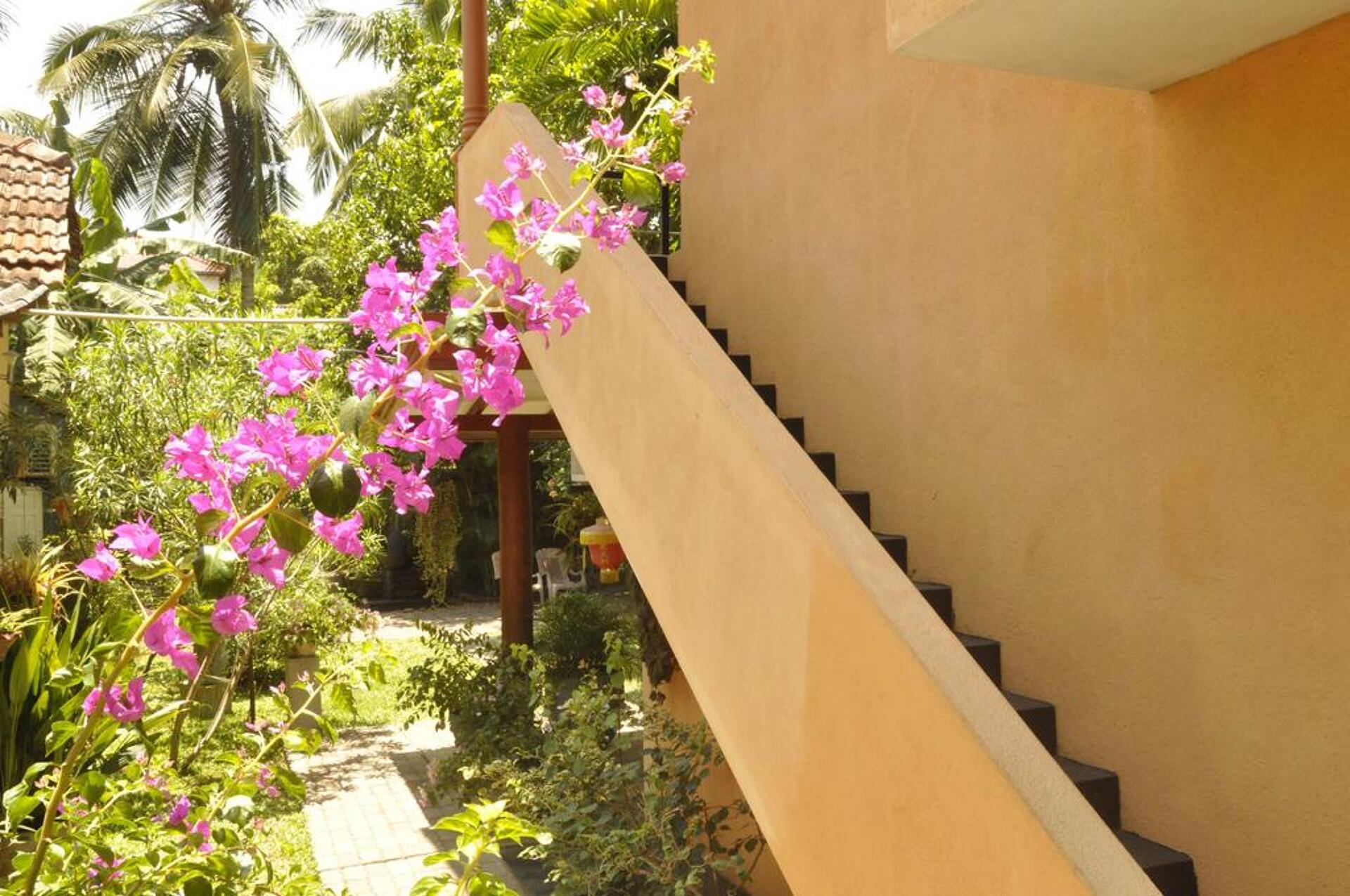 Green Villa 3* 24