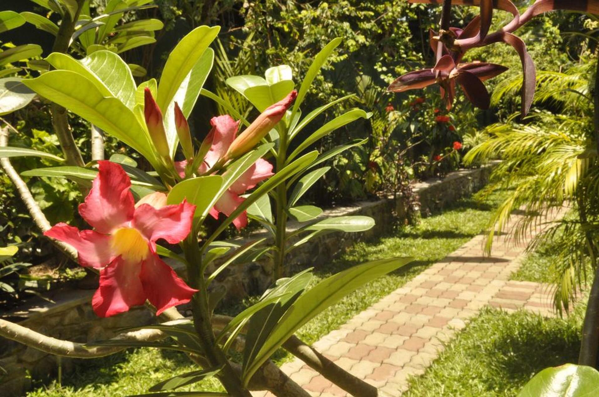 Green Villa 3* 31