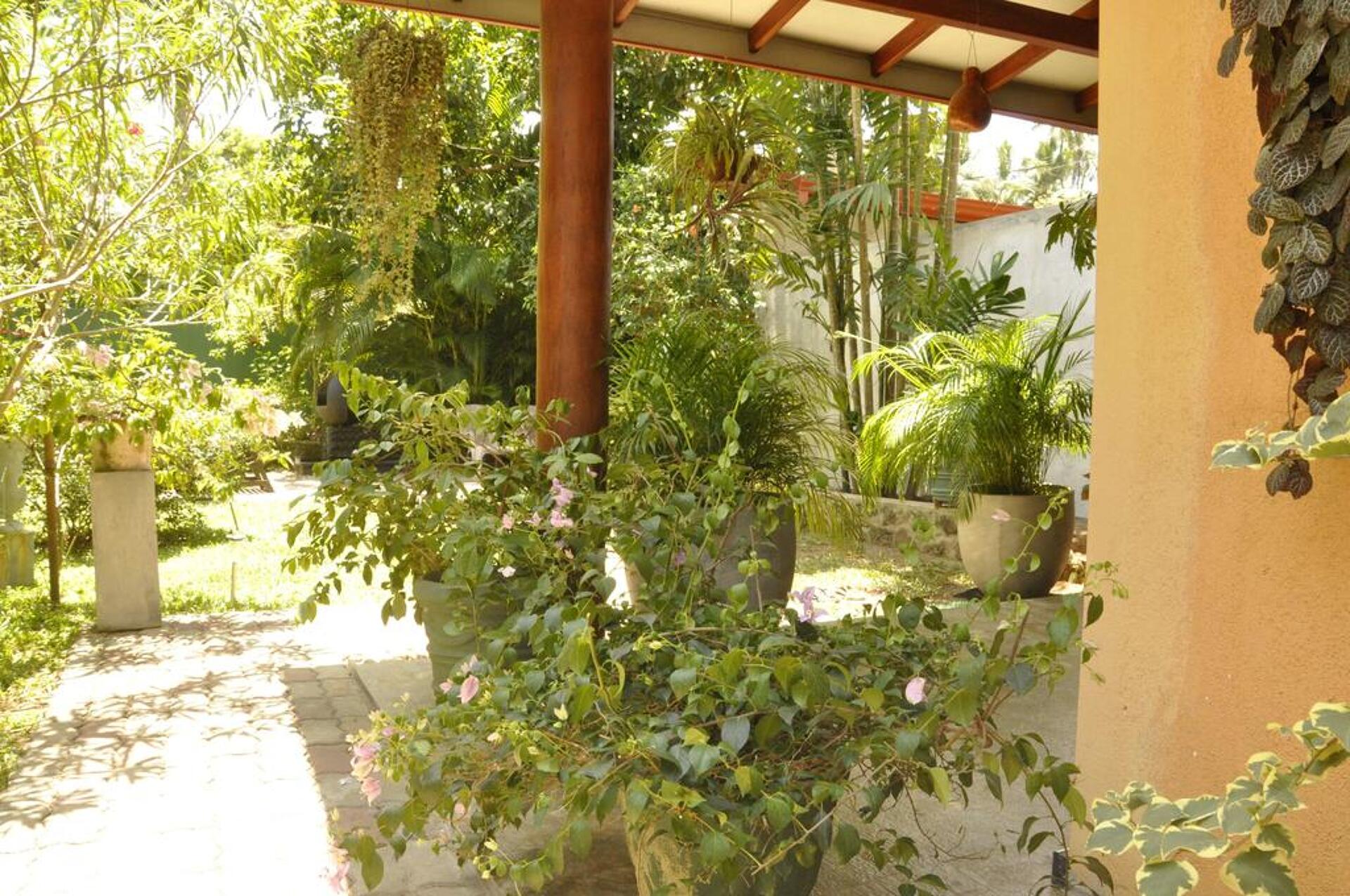 Green Villa 3* 15