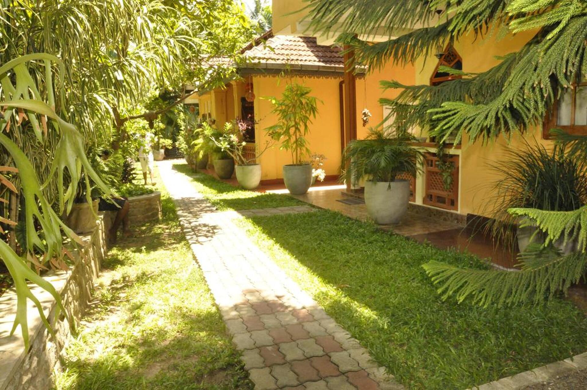 Green Villa 3* 33