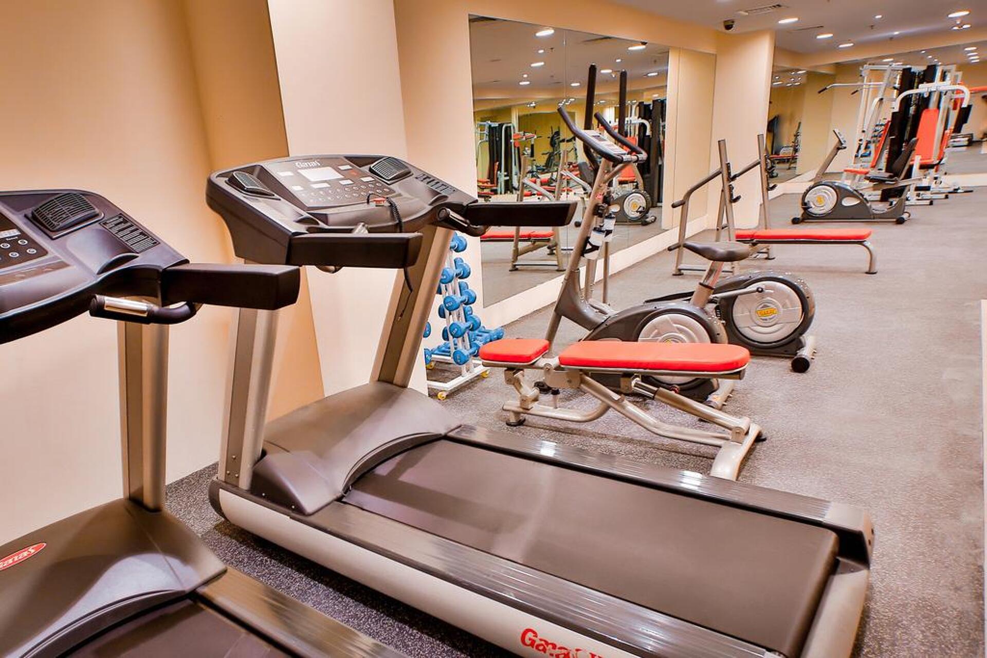 Signature Hotel Al Barsha 4* 43