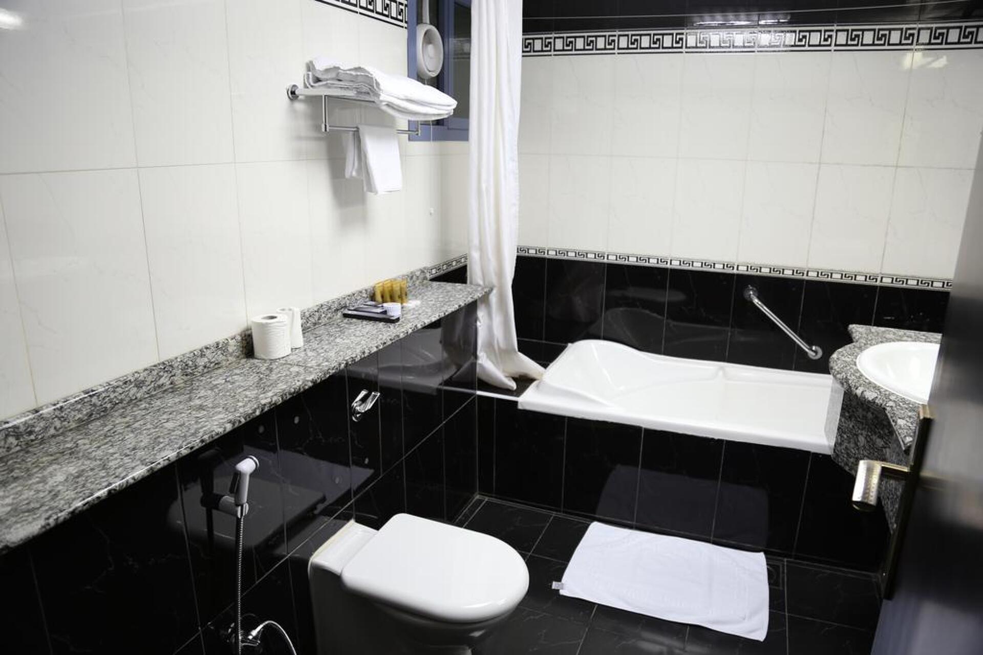 Dubai Palm Hotel 3* 22