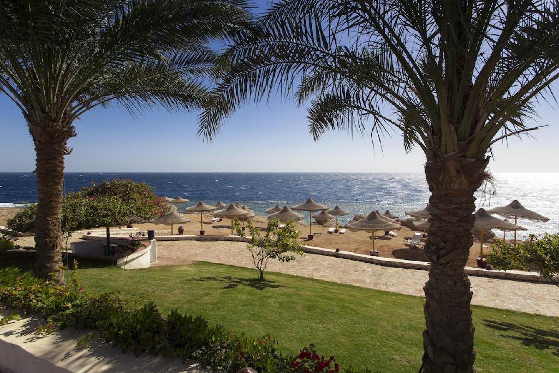 Sharm Club Beach Resort 4* 36
