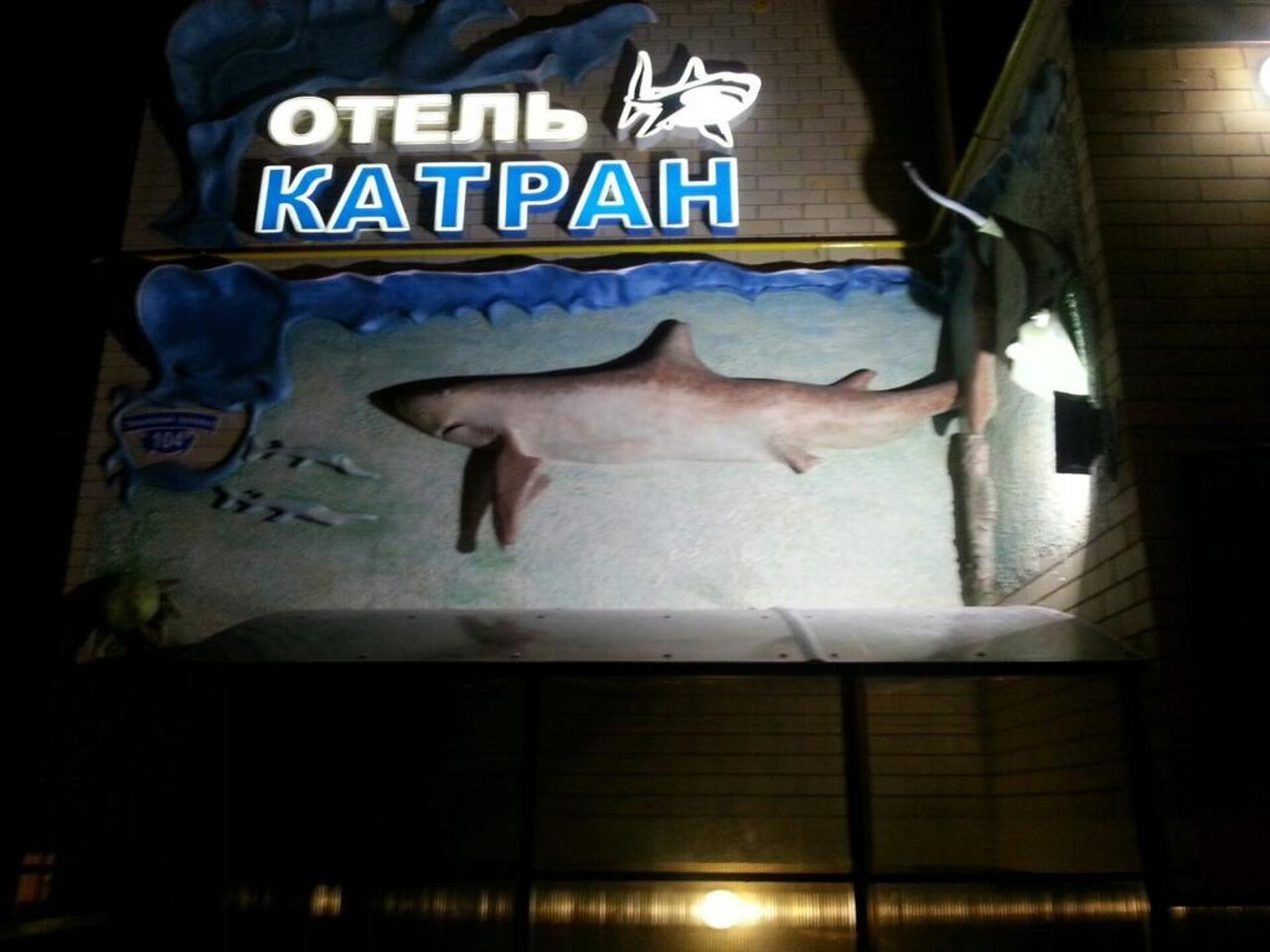 Катран 12