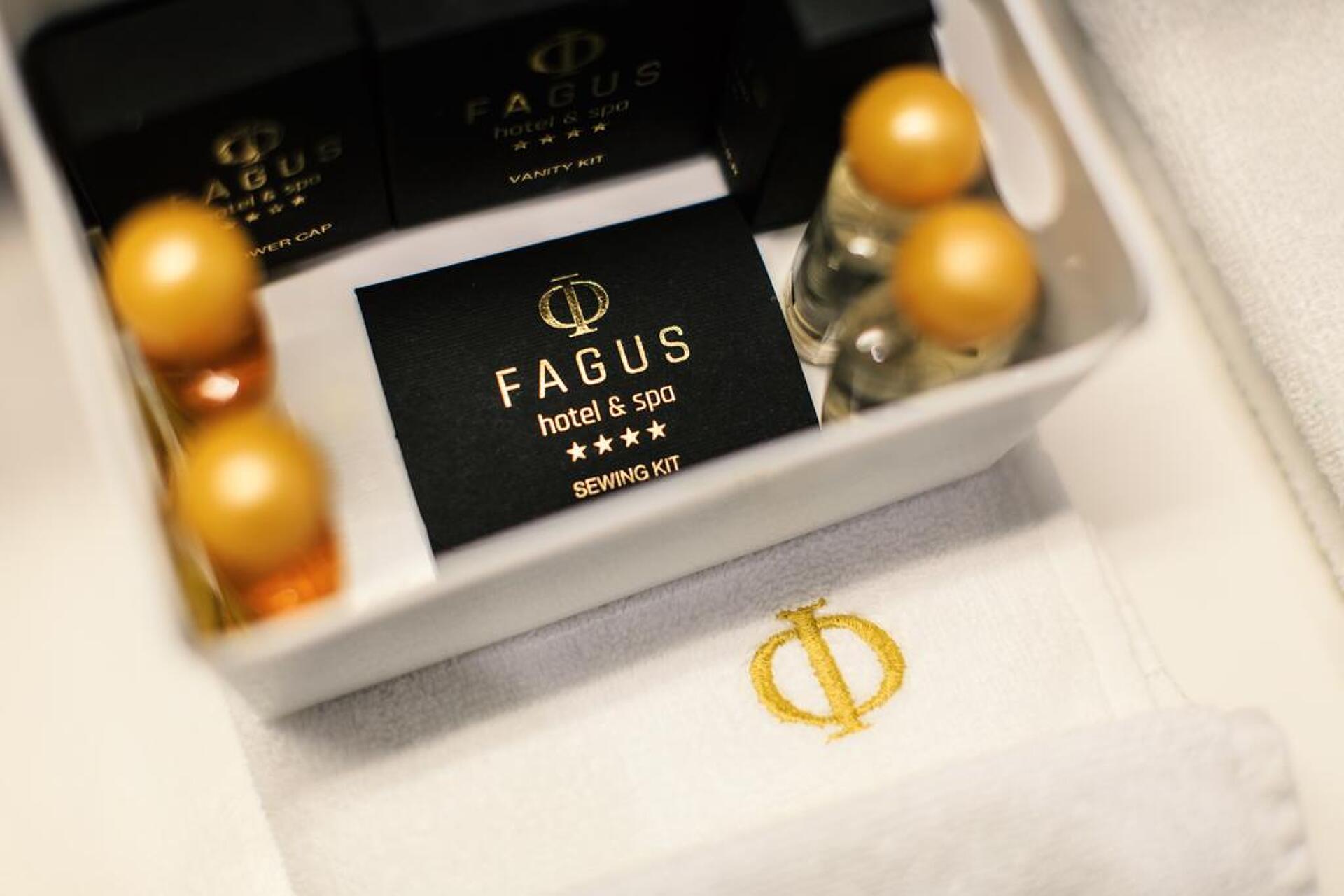 Fagus 42