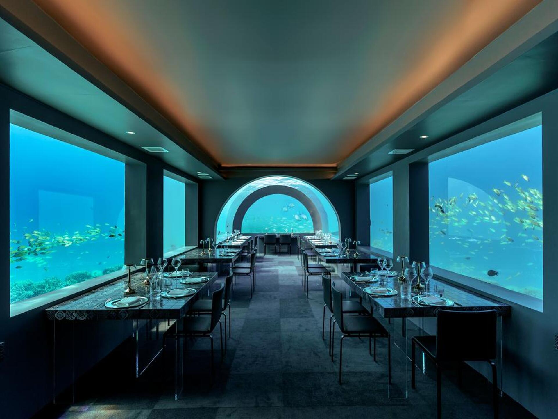 You and Me by Cocoon Maldives 25