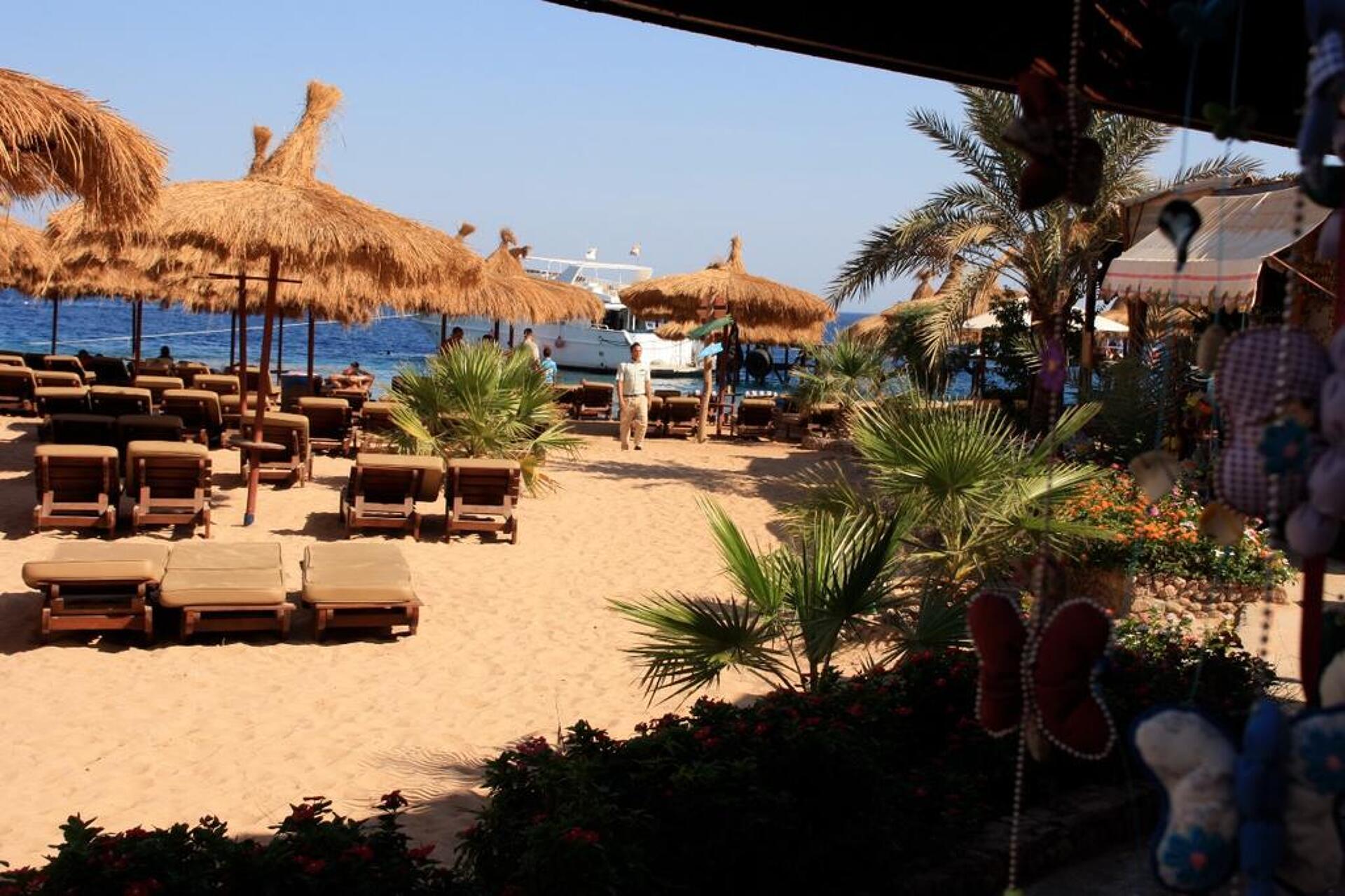 Palmyra Amar El Zaman Sharm el-Sheikh 4* 27