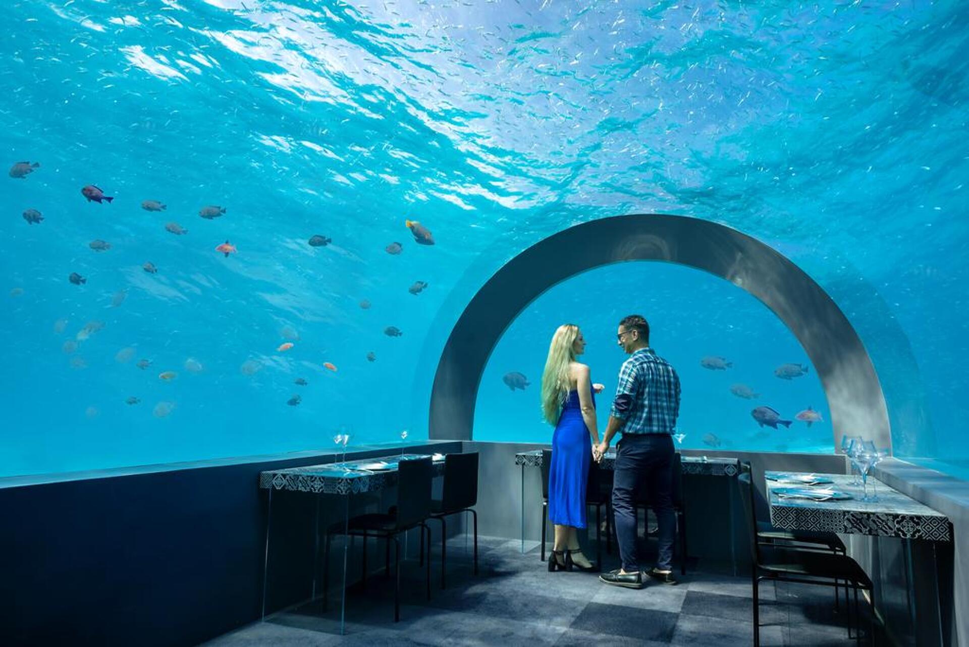 You and Me by Cocoon Maldives 41