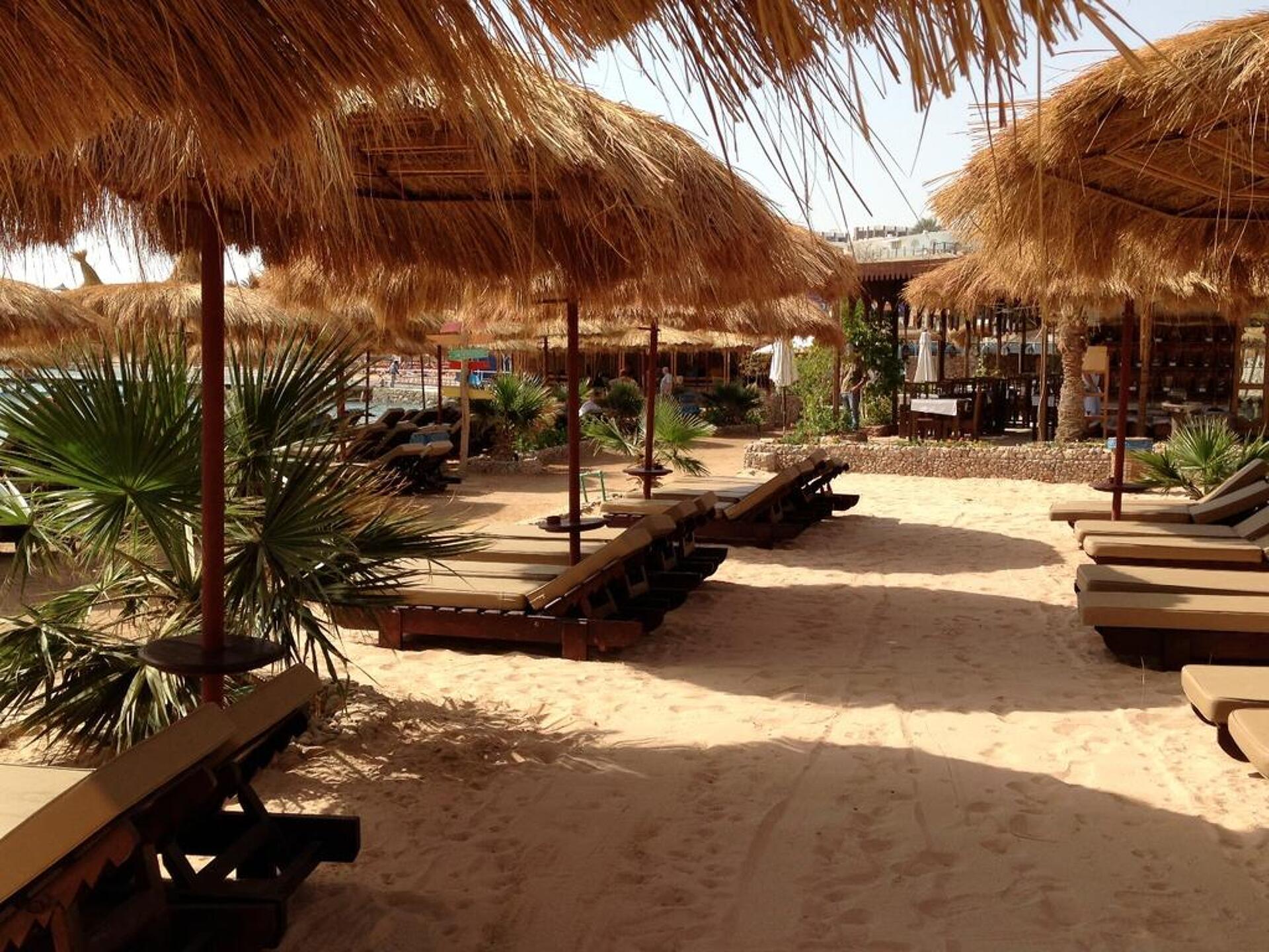 Palmyra Amar El Zaman Sharm el-Sheikh 4* 26
