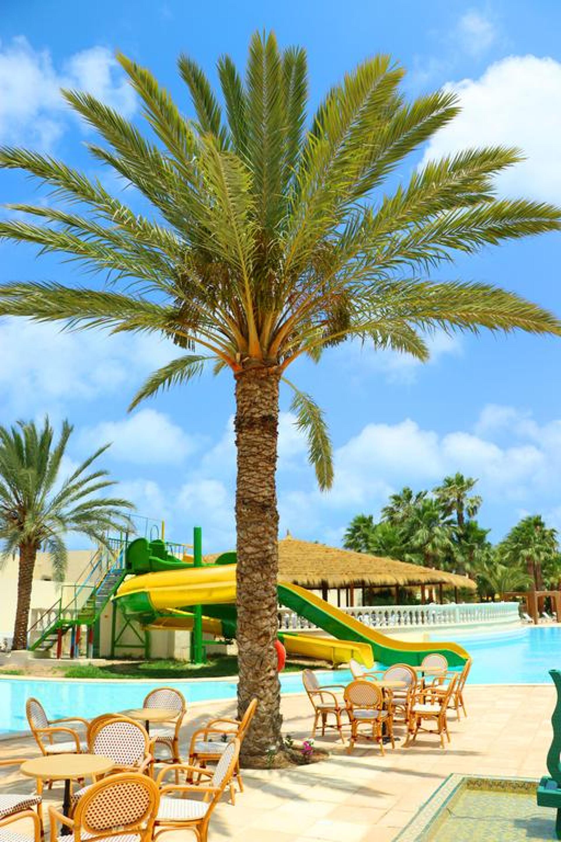 The Ksar Djerba Charming Hotel & SPA 4* 2