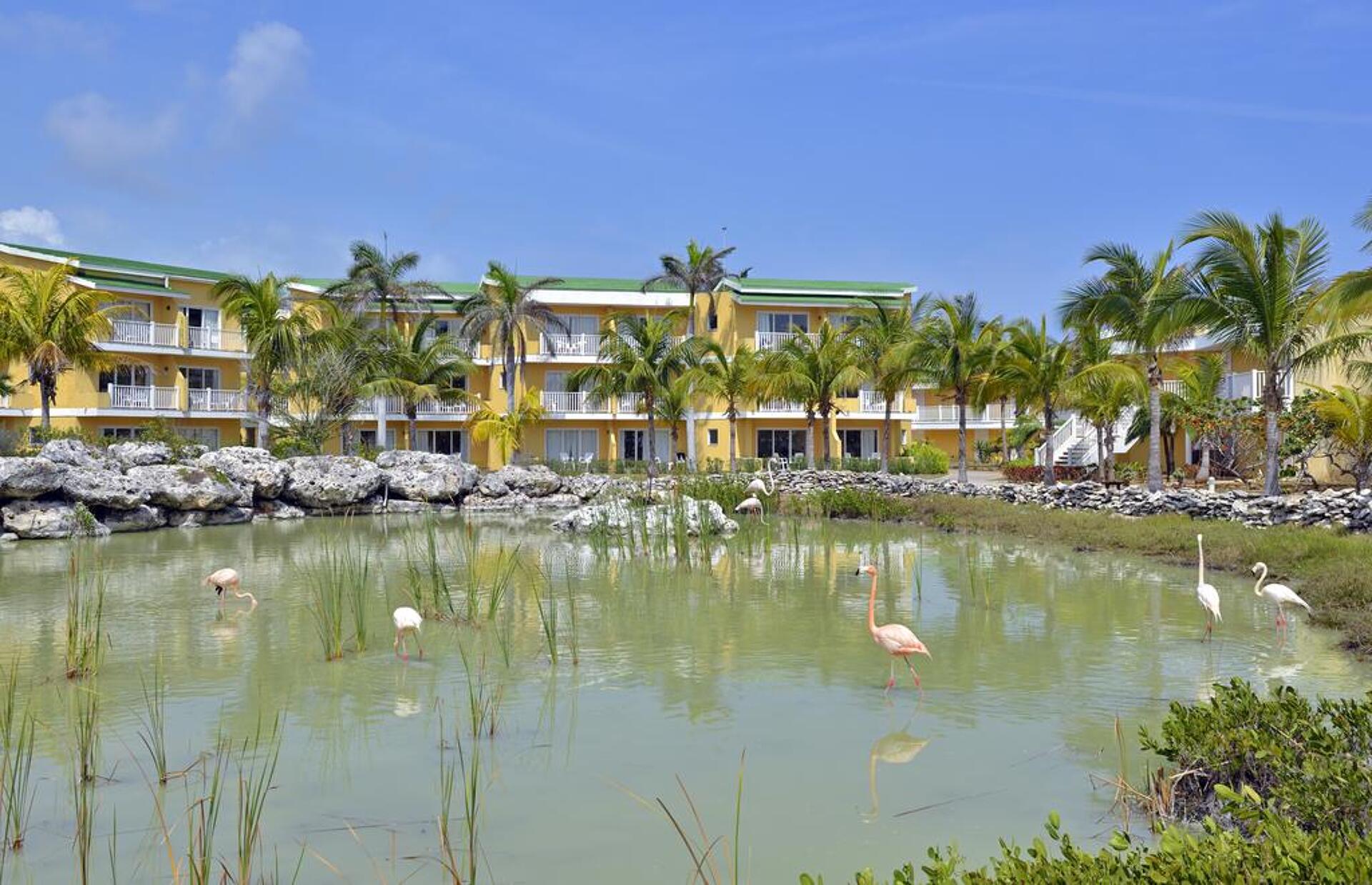 Tryp Cayo Coco 4* 5