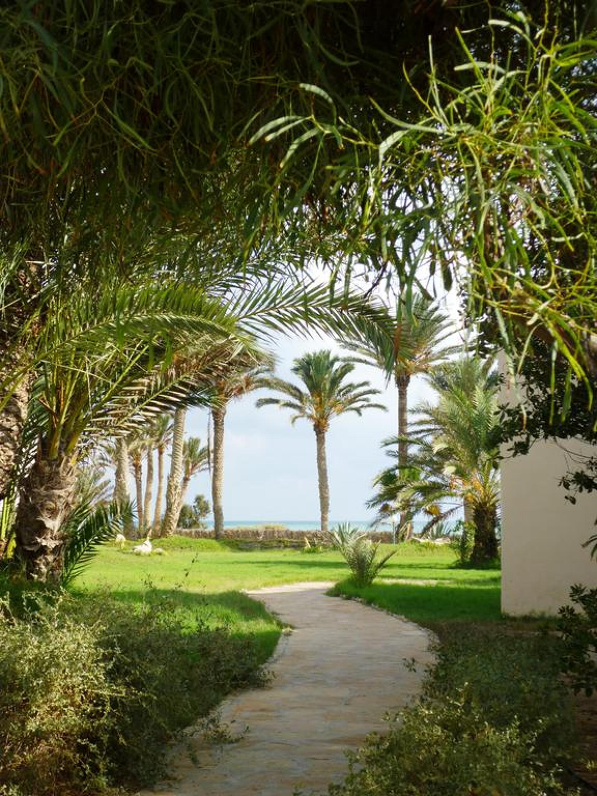 Zita Beach 4* 24
