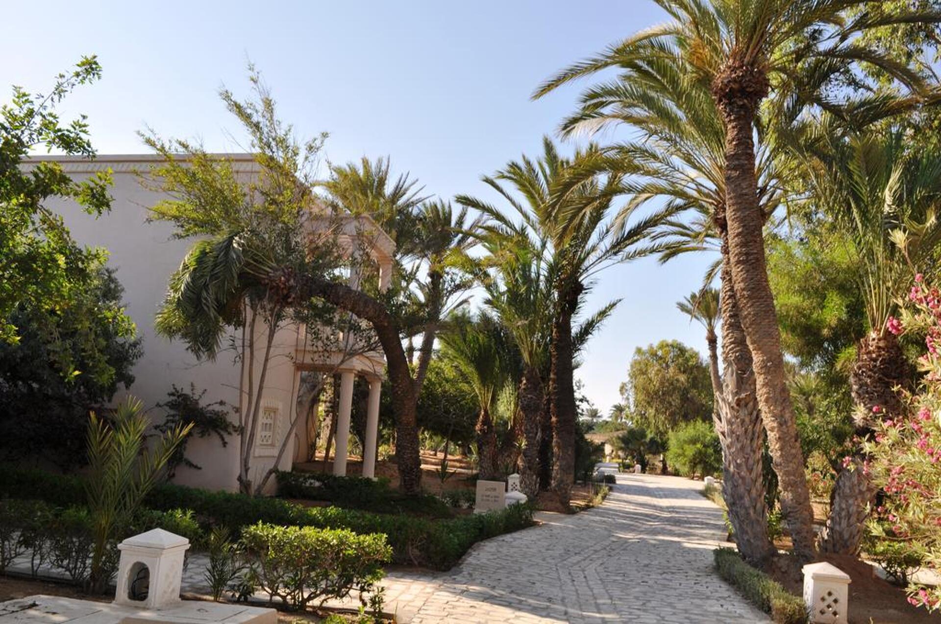 Zita Beach 4* 28