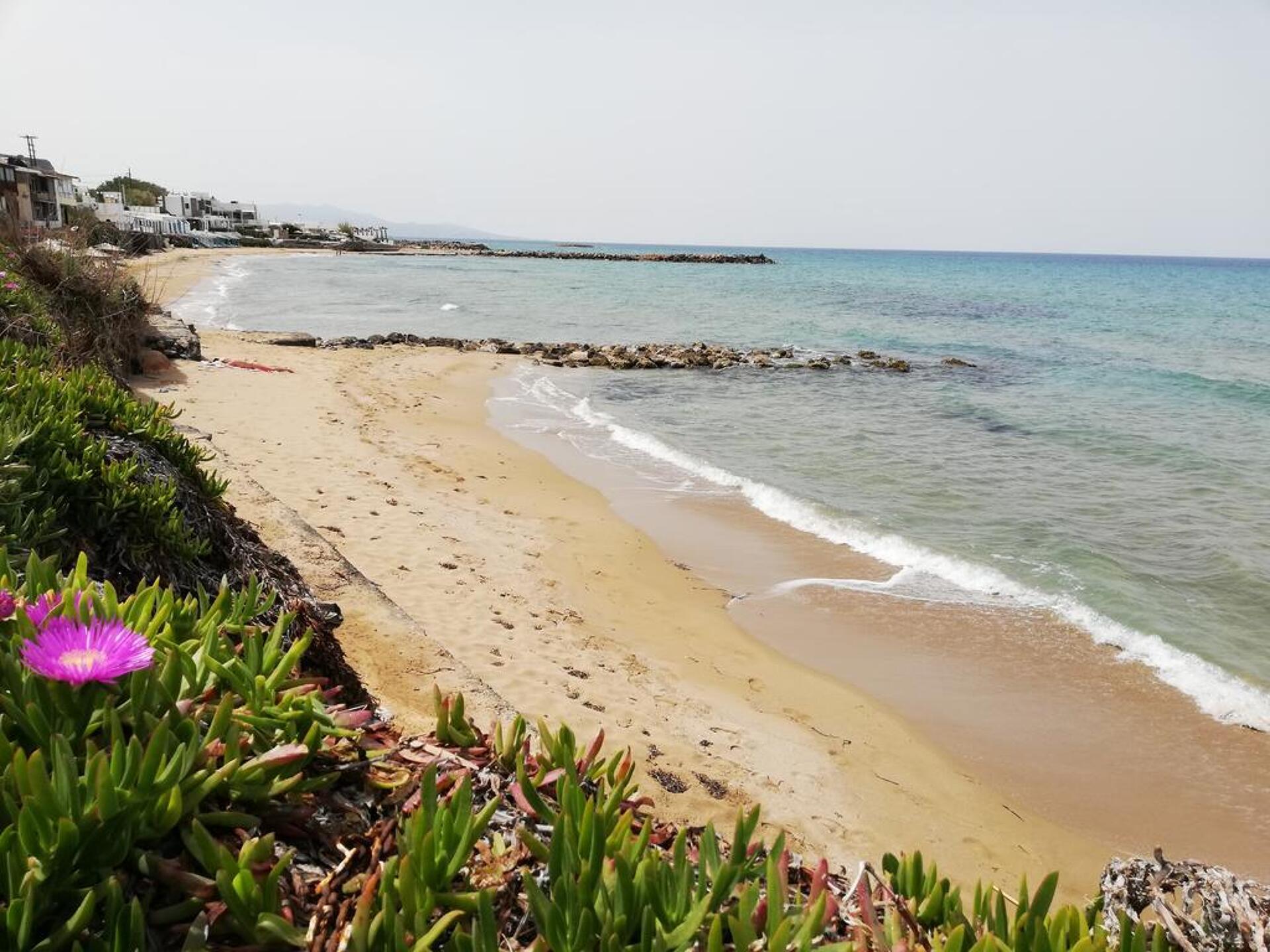 Almare Beach Hotel 8