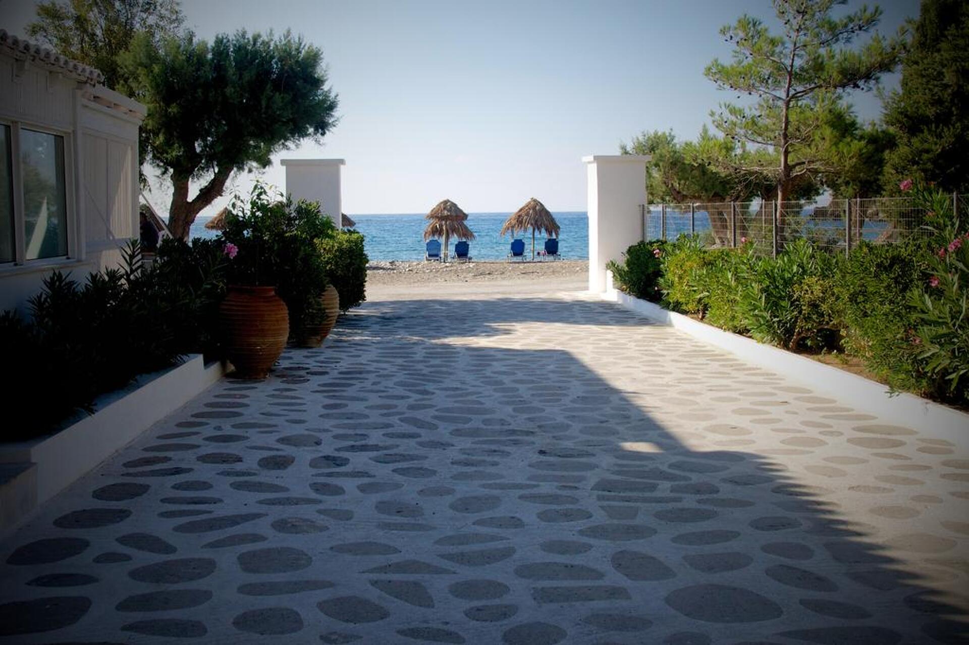 Avra Palm 3* 28
