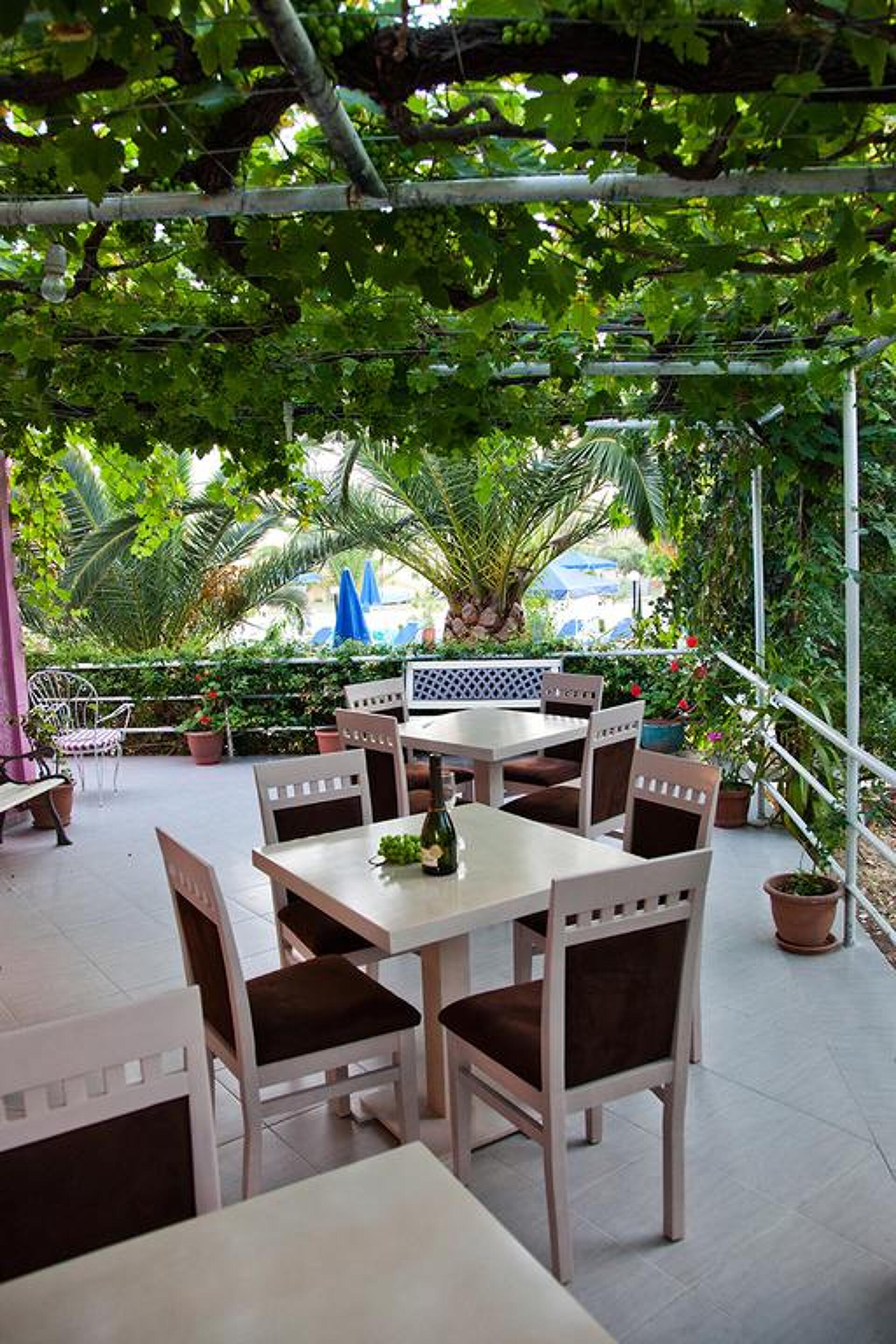 Anatoli Beach 2* 38