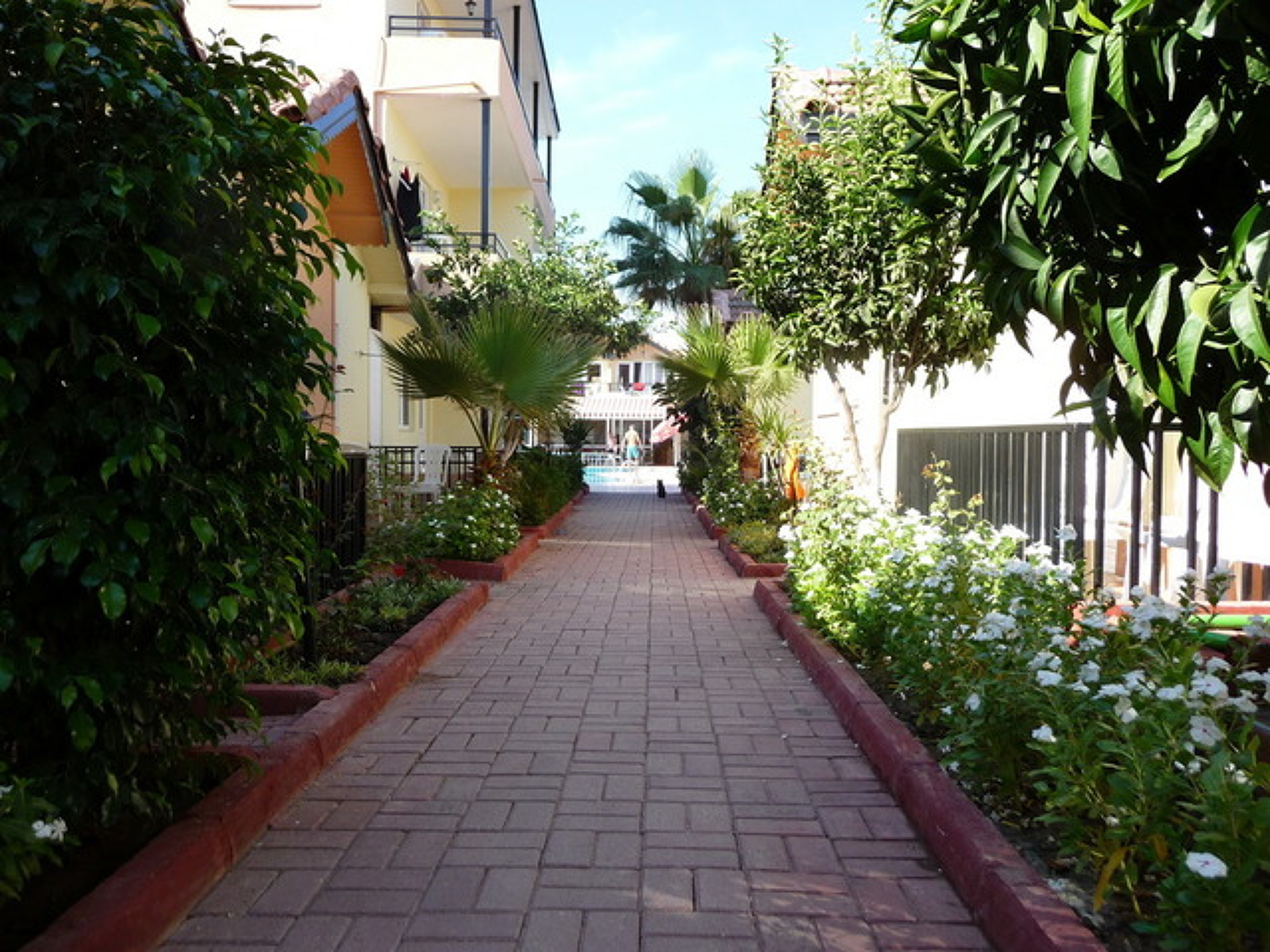 Sayanora Hotel 6